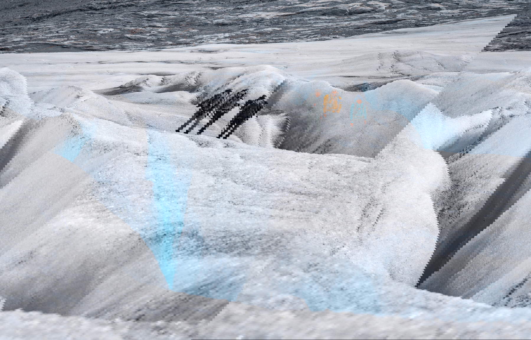 Foto: MUSE - Yuri Santini