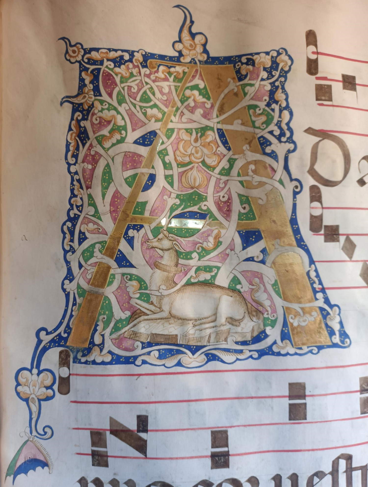 Museo di San Marco, Antiphonary X, Initial A Stag and Butterfly, c. 47r, 15th century &copy; MiC - Regional Directorate National Museums Tuscany - Museo di San Marco