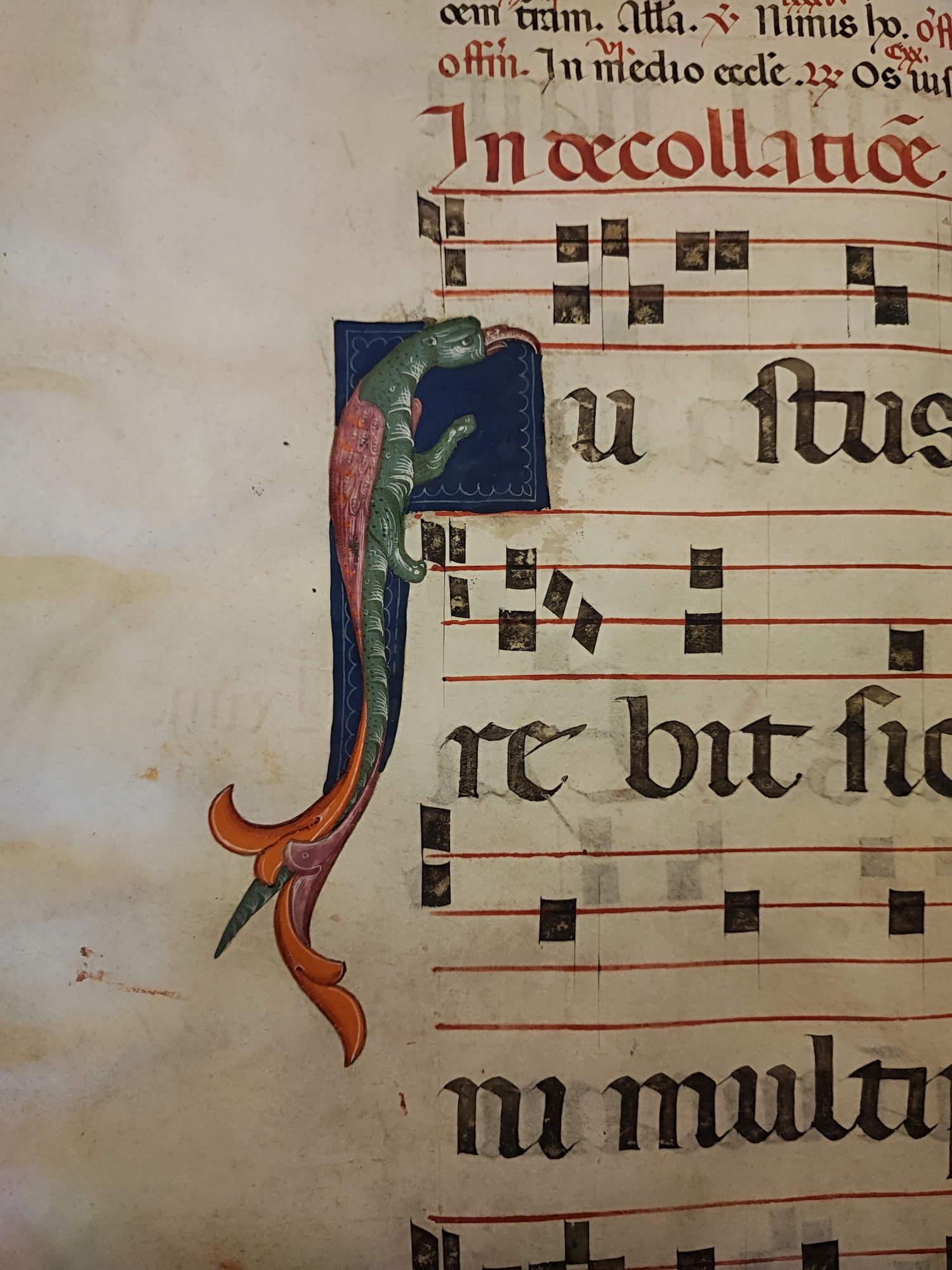 Museo di San Marco, Gradual G, Initial I - Fantastic Reptile (Basilisk), c. 64 v, 13th century &copy; MiC - Regional Directorate National Museums Tuscany - Museo di San Marco
