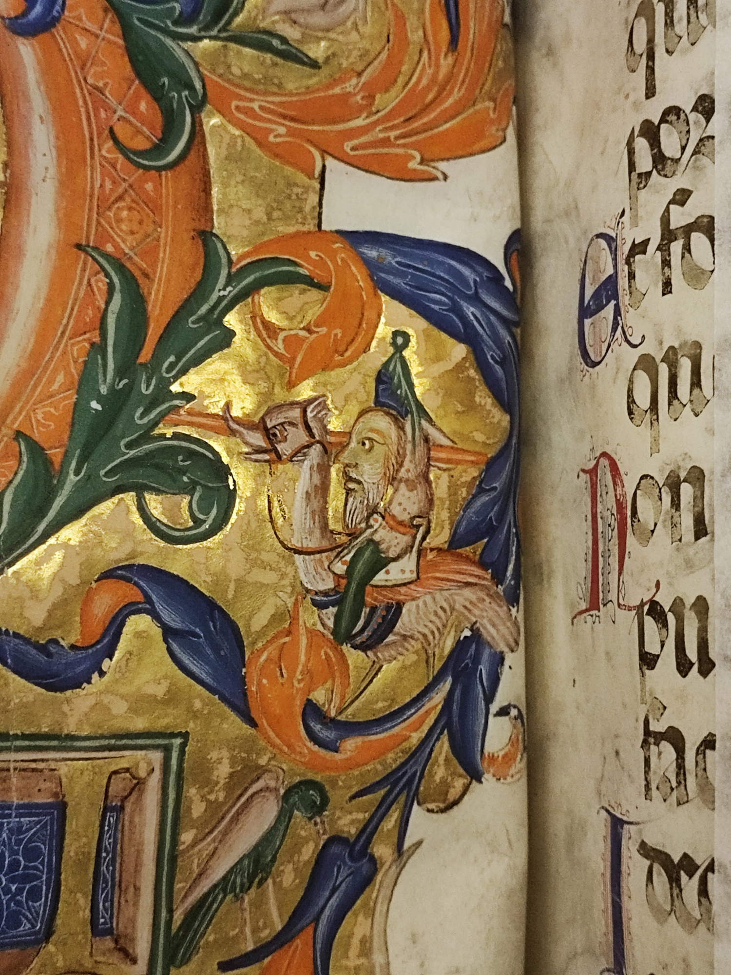 Museo di San Marco, Psalter I, Initial B - God the Father blessing and King David enthroned. Frieze with animals and fantastic creatures, c 76 v, 14th century, detail &copy; MiC - Regional Directorate National Museums Tuscany - Museo di San Marco