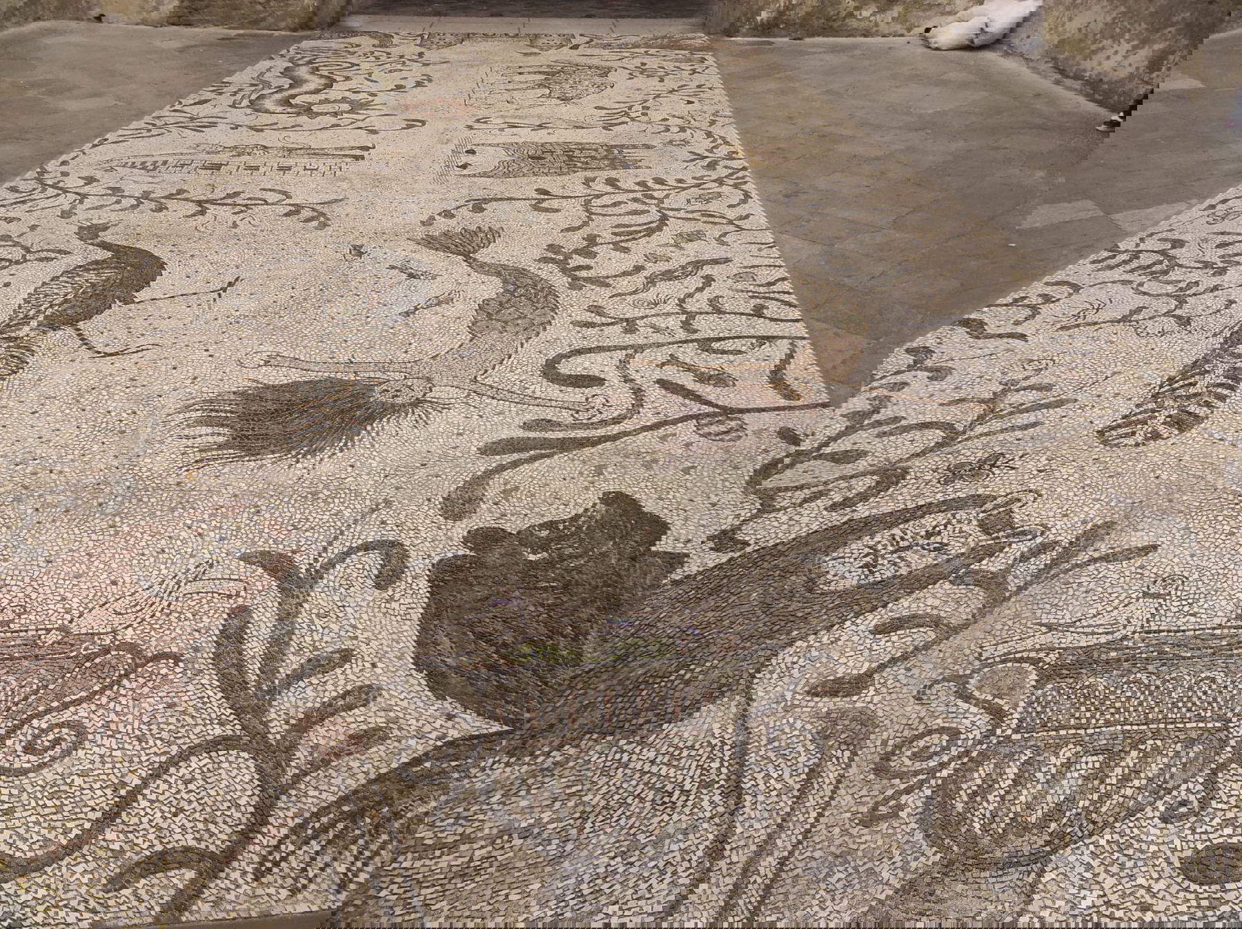 Nicola Montalbini, Der Boden (2025). Foto: Nicola Montalbini