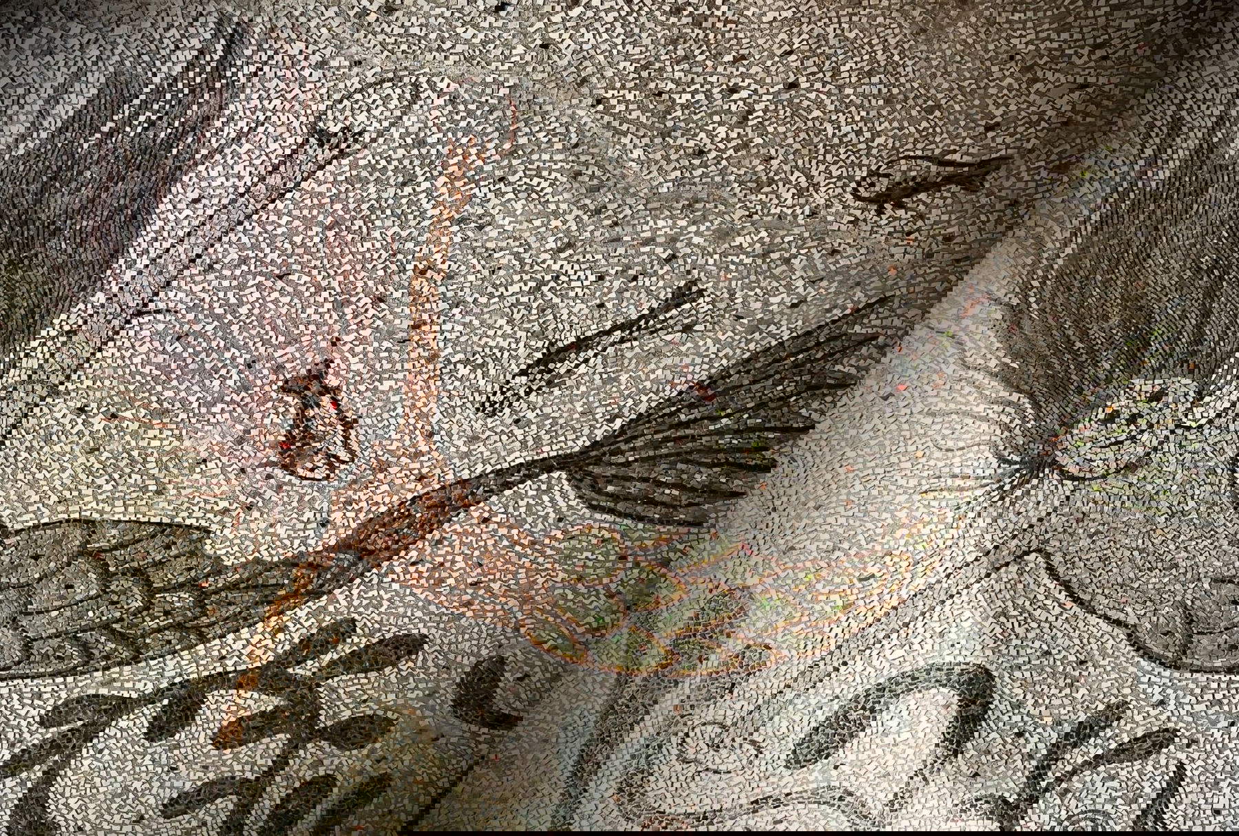 Nicola Montalbini, Der Boden, Die Meerjungfrau Elektra, die von den Fischen gefressen wird, Detail des Mosaiks. Foto: Nicola Montalbini