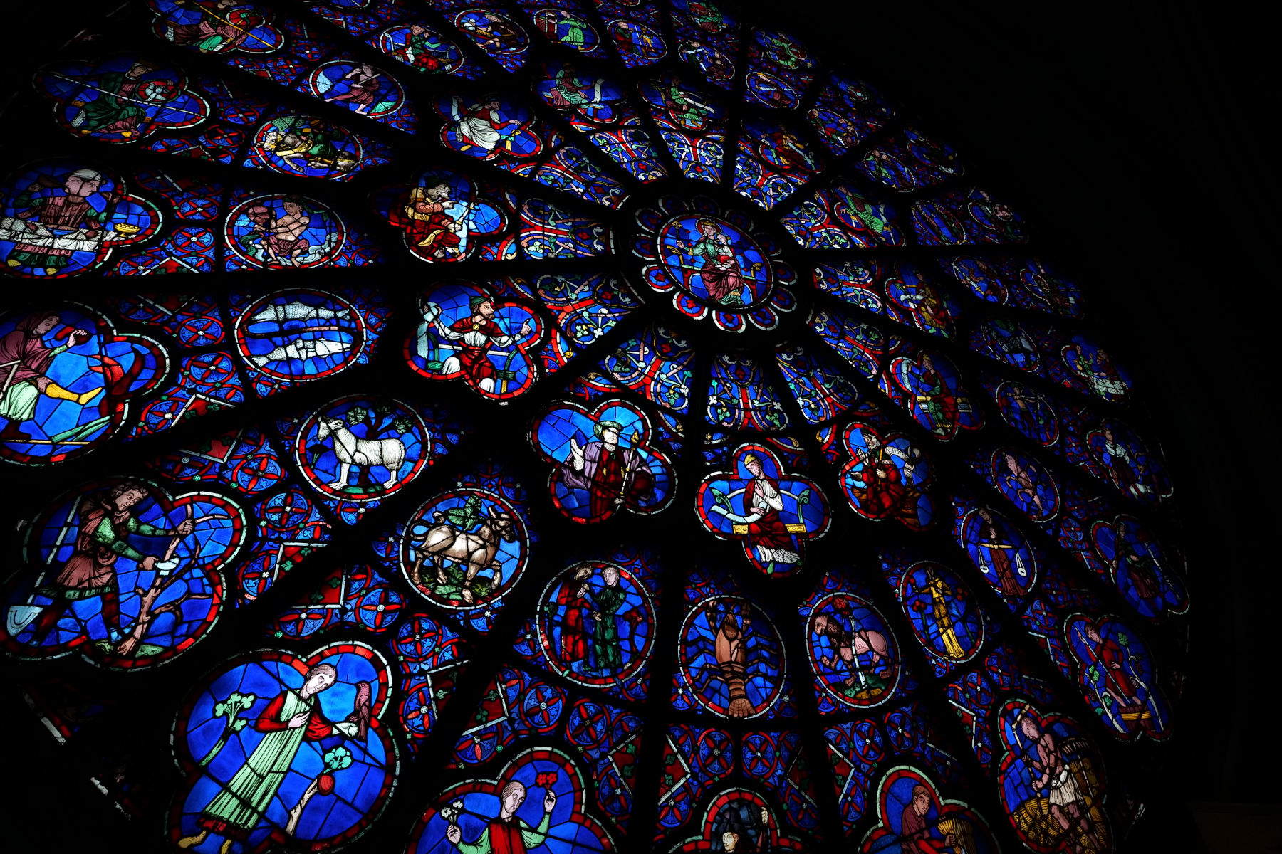 Vista del rosetón occidental desde el interior de la catedral de Notre-Dame de París. David Bordes &copy; Reb&acirc;tir Notre-Dame de París