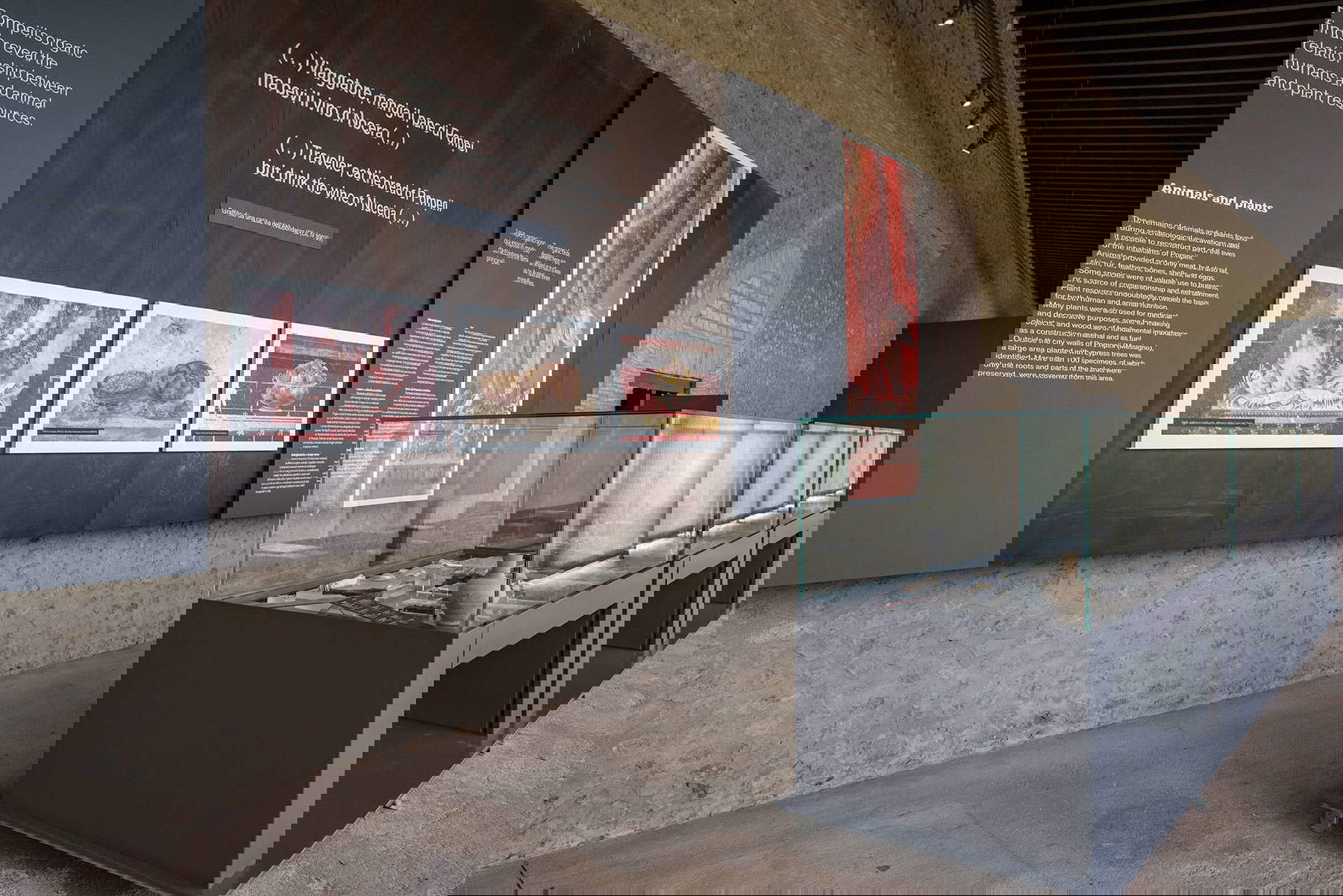 Le parcours dédié aux moulages des victimes de l'éruption du Vésuve en 79 après J.-C. Photo : Parc archéologique de Pompéi