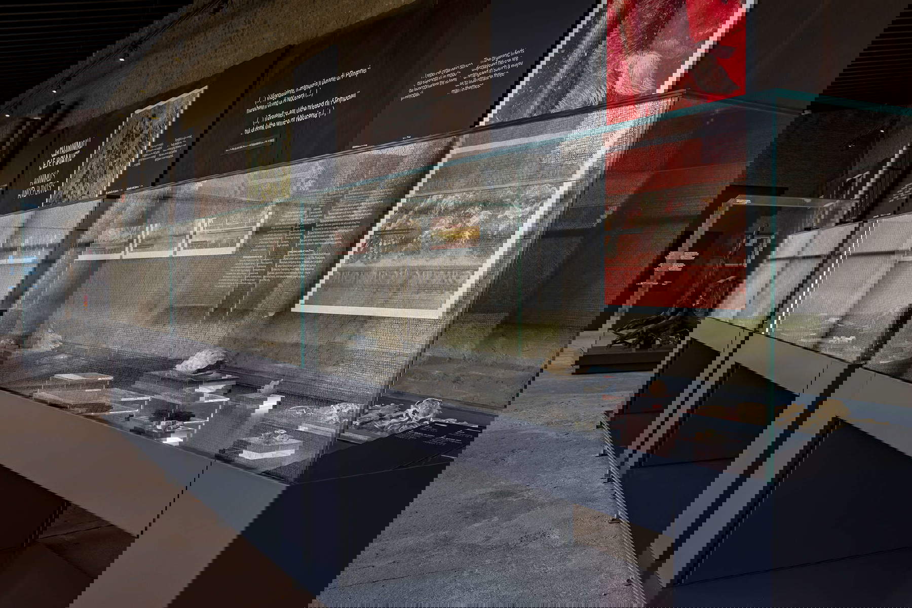 Le parcours dédié aux moulages des victimes de l'éruption du Vésuve en 79 après J.-C. Photo : Parc archéologique de Pompéi