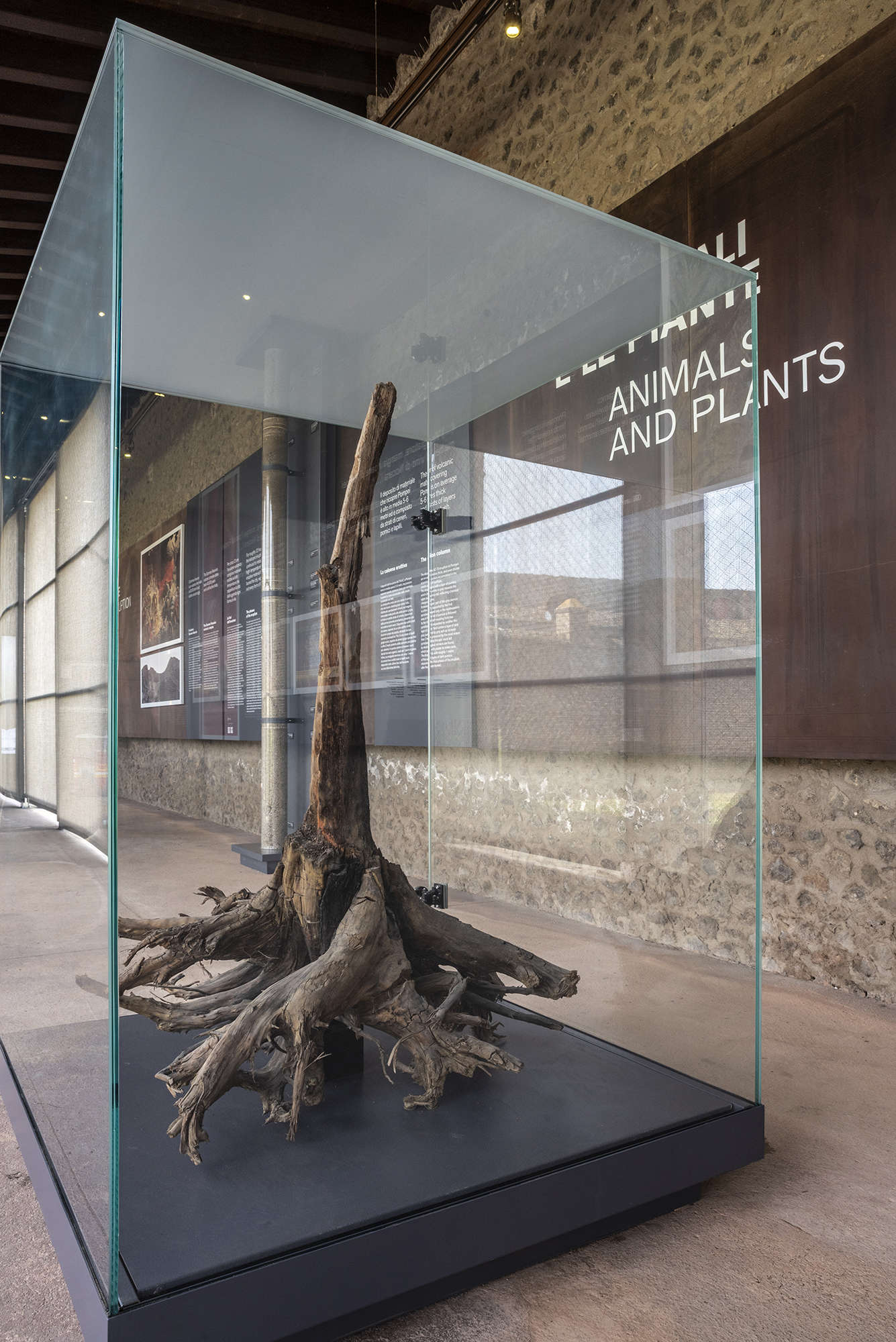 Le parcours dédié aux moulages des victimes de l'éruption du Vésuve en 79 après J.-C. Photo : Parc archéologique de Pompéi