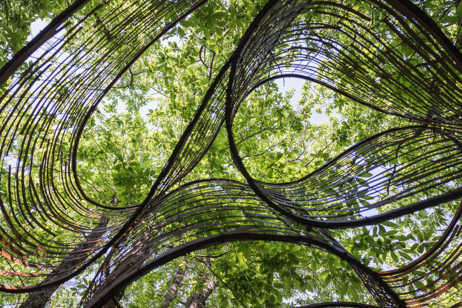Kengo Kuma, Dynamo Pavillion (2025; OCA Oasy Contemporary Art). Foto: Mattia Marasco
