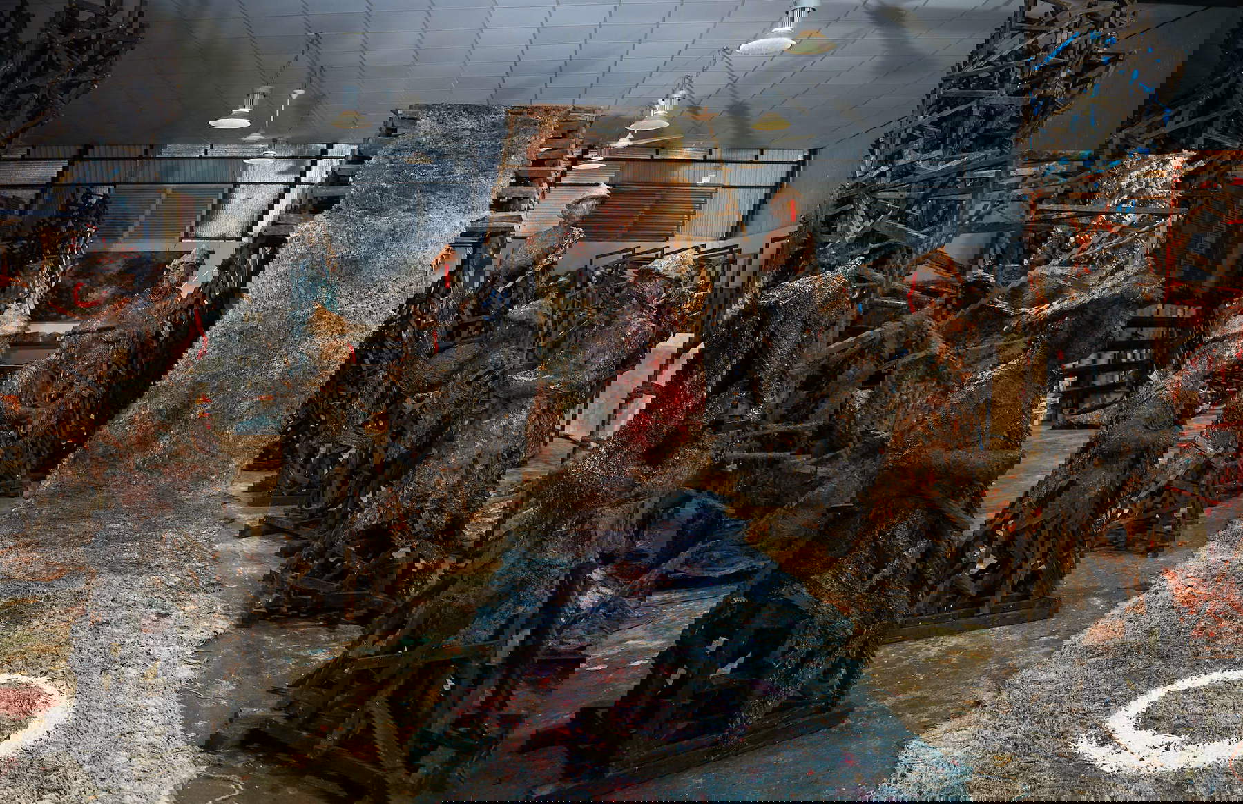 Opere di Le Huu Hieu che saranno esposte nel Padiglione del Vietnam alla 61. Esposizione Internazionale d'Arte - La Biennale di Venezia