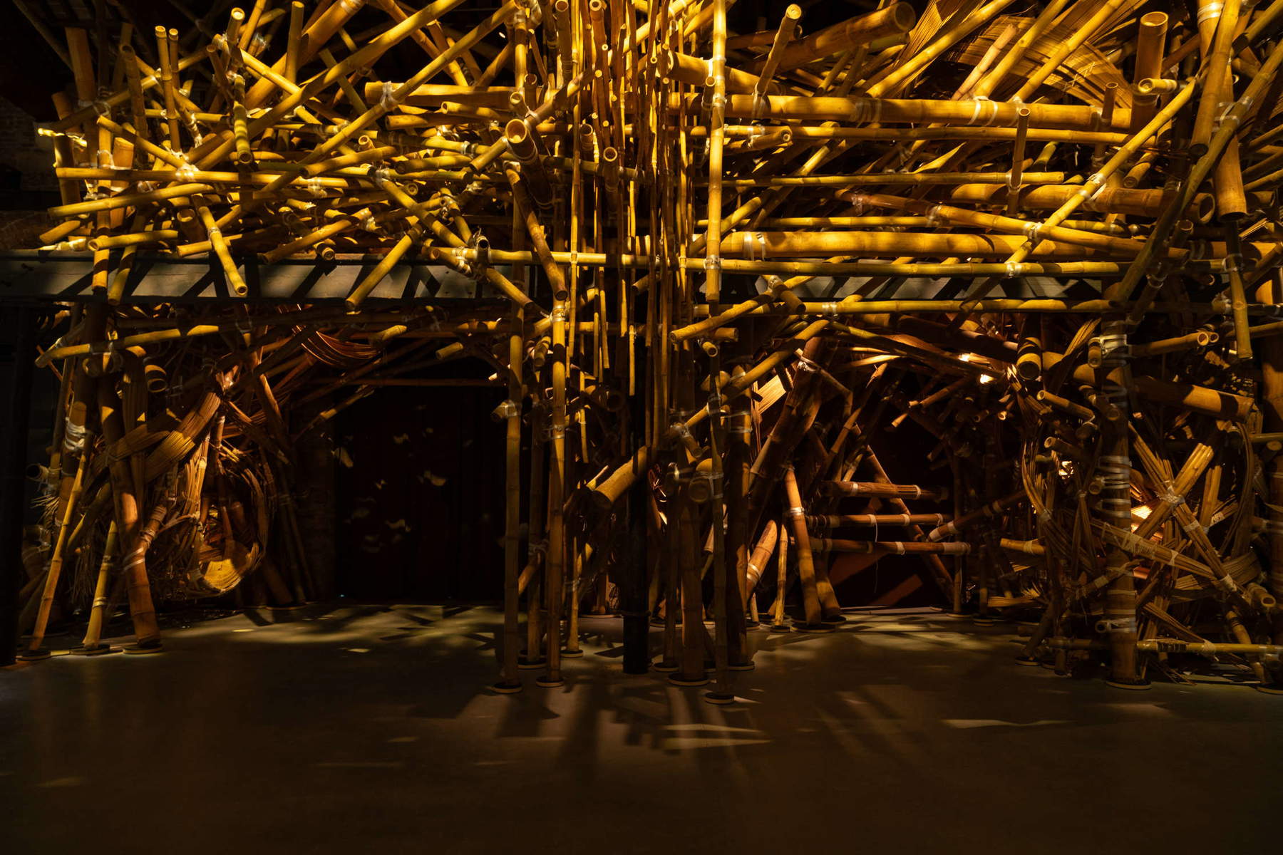 Pavillon de l'Inde à la Biennale de Venise 2026. Photo : Luca Zambelli Bais