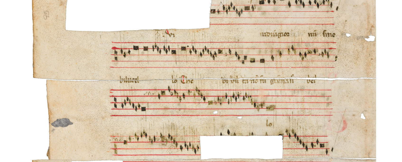 À Rimini, les passages médiévaux du Codex de Saint-Gaudenz, découverts par l'Université de Trente, reprennent vie pour la première fois