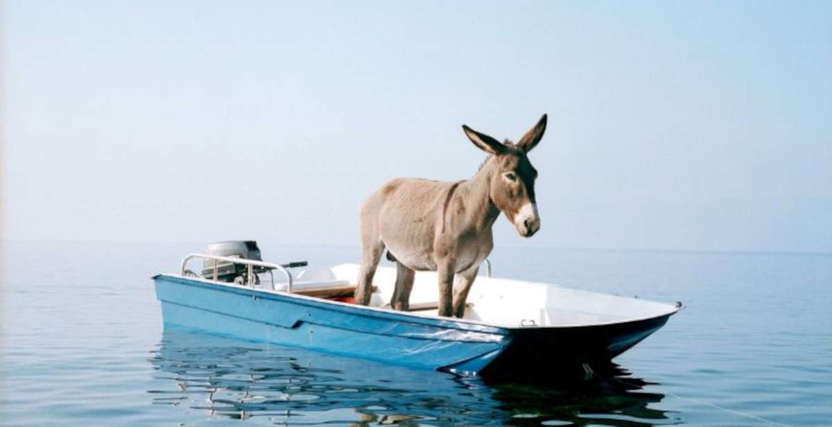 MAXXI 2026 : une année d'expositions, d'architecture et de régénération urbaine