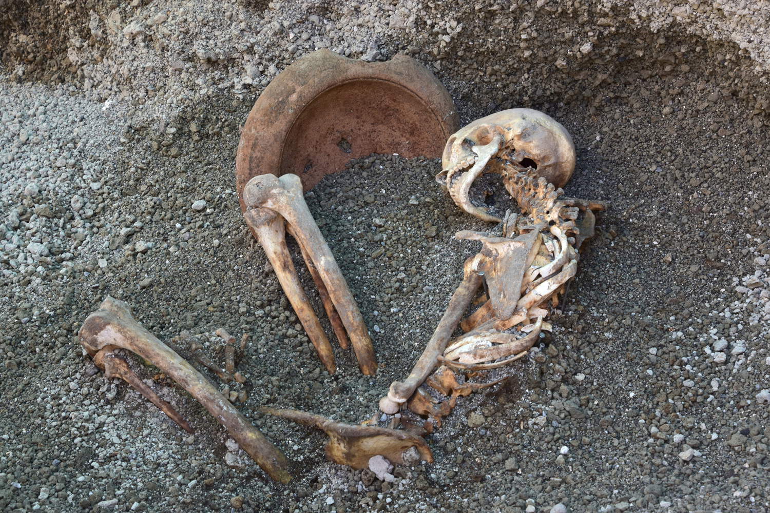 Finding victim. Photo: Pompeii Archaeological Park