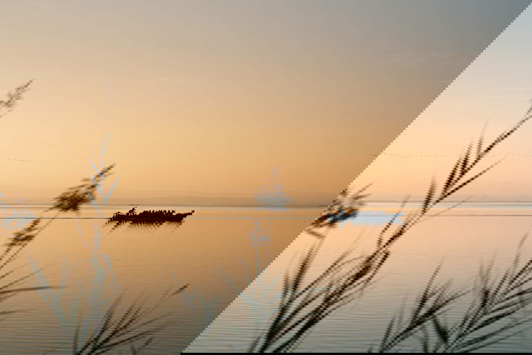 阿尔布费拉的日落