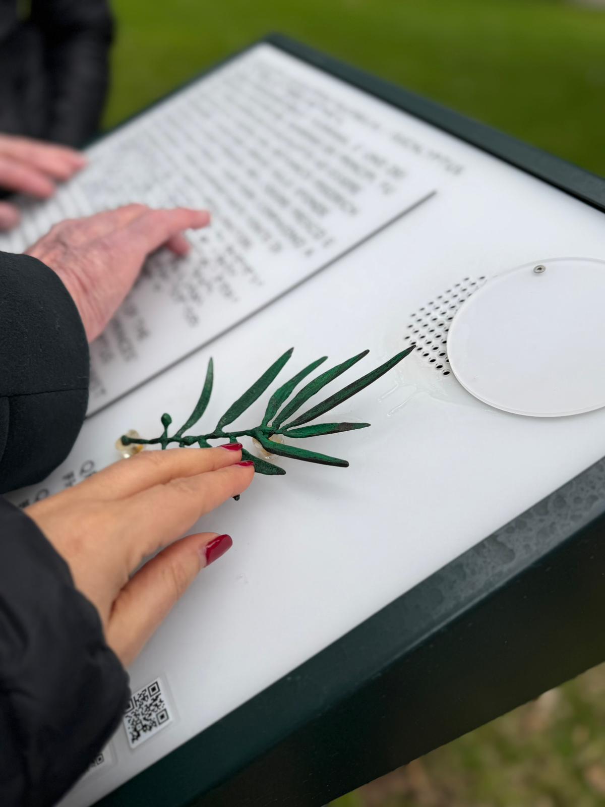 The tactile-olfactory path of the Real Bosco di Capodimonte