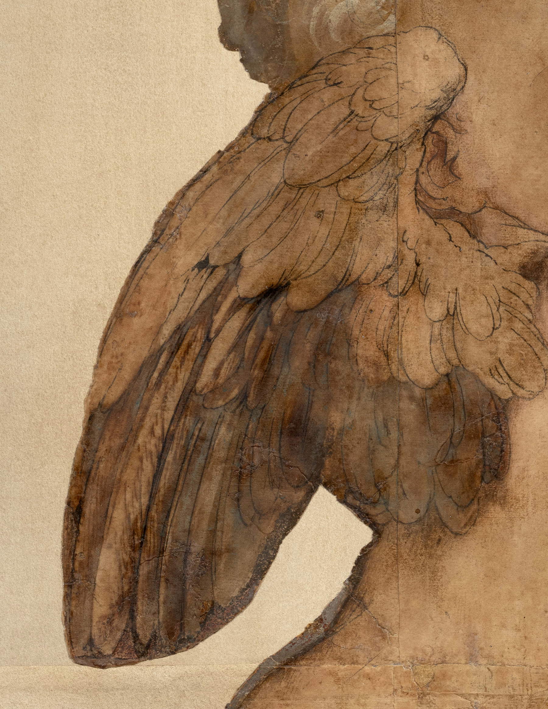 Perin del Vaga, Amorino, dettaglio. Foto: Goldfinch Fine Arts