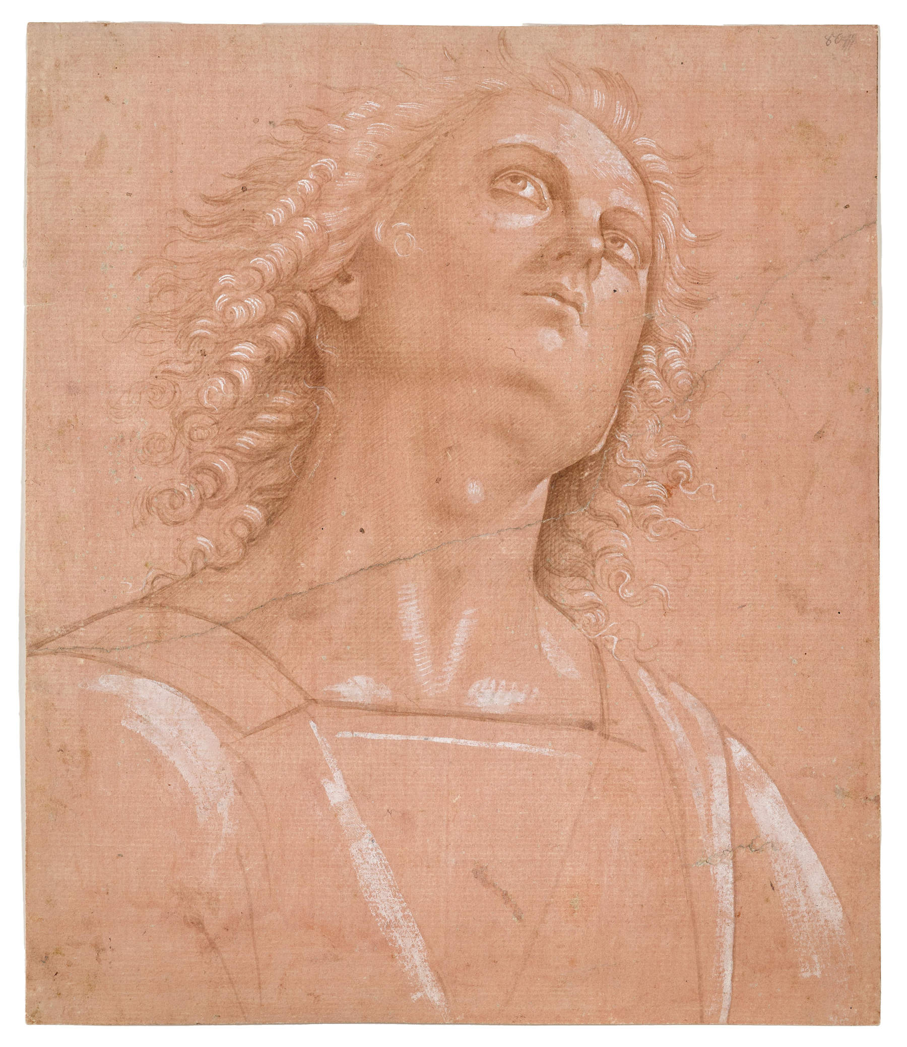 Pietro di Cristoforo Vannucci, known as Perugino, Study of a Head (brush and watercolor with opaque white pigment on a pink ground, on laid paper with pronounced waviness along the grain, 292 x 248 mm). Estimate: &euro;200,000&ndash;300,000. Photo: &copy; DOROTHEUM