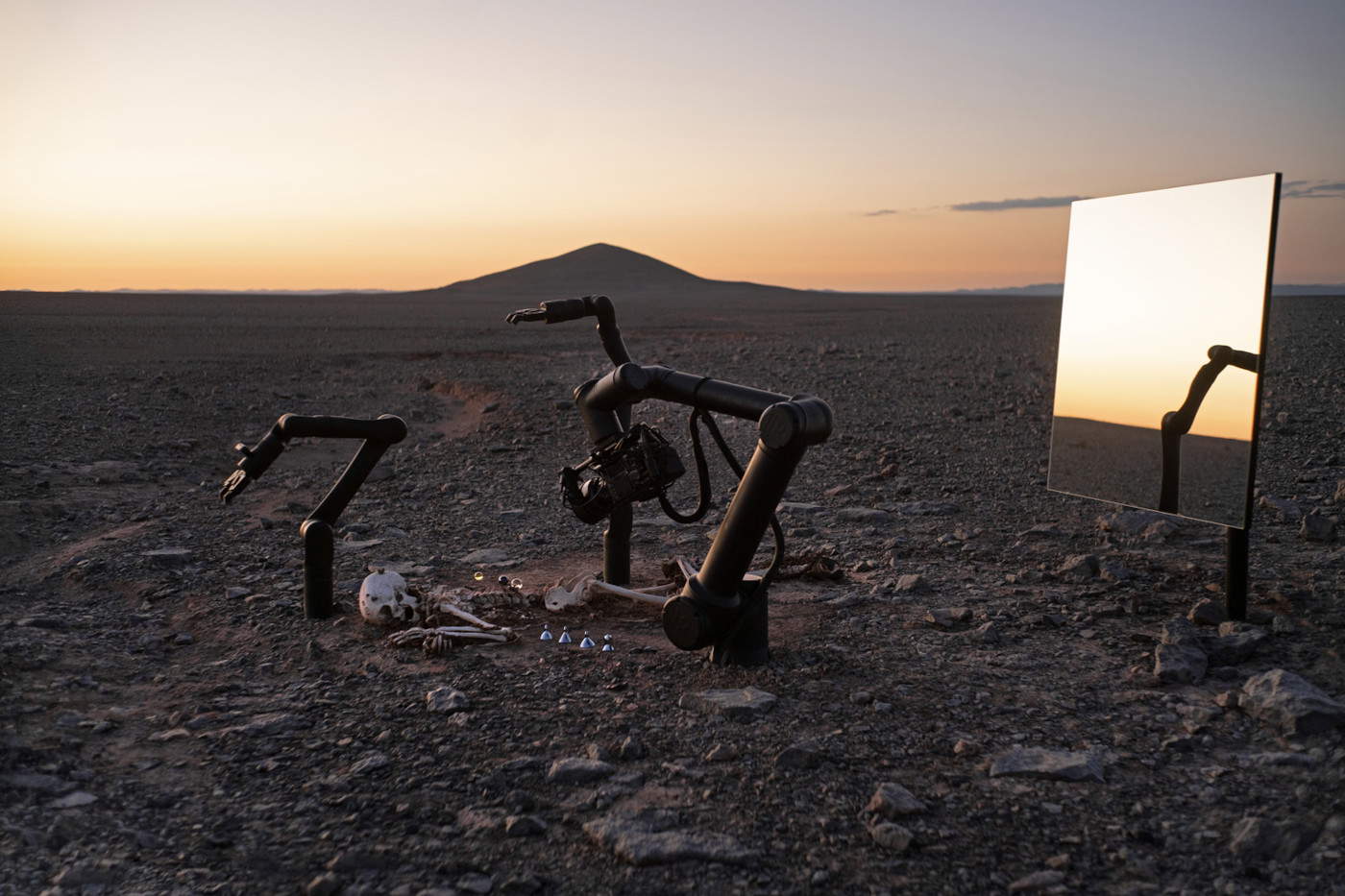 Pierre Huyghe, Camata (2024; Roboter, gesteuert durch maschinelles Lernen, selbst produzierter Film, produziert in Echtzeit, Ton, Sensoren; Sammlung Maja Hoffmann / Stiftung Luma). Courtesy of the artist &copy; Pierre Huyghe, vertreten durch ProLitteris (CH) / ADAGP (FR)