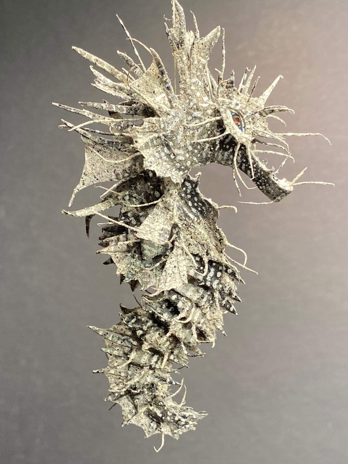 Pietro Antolini, Grashüpfer