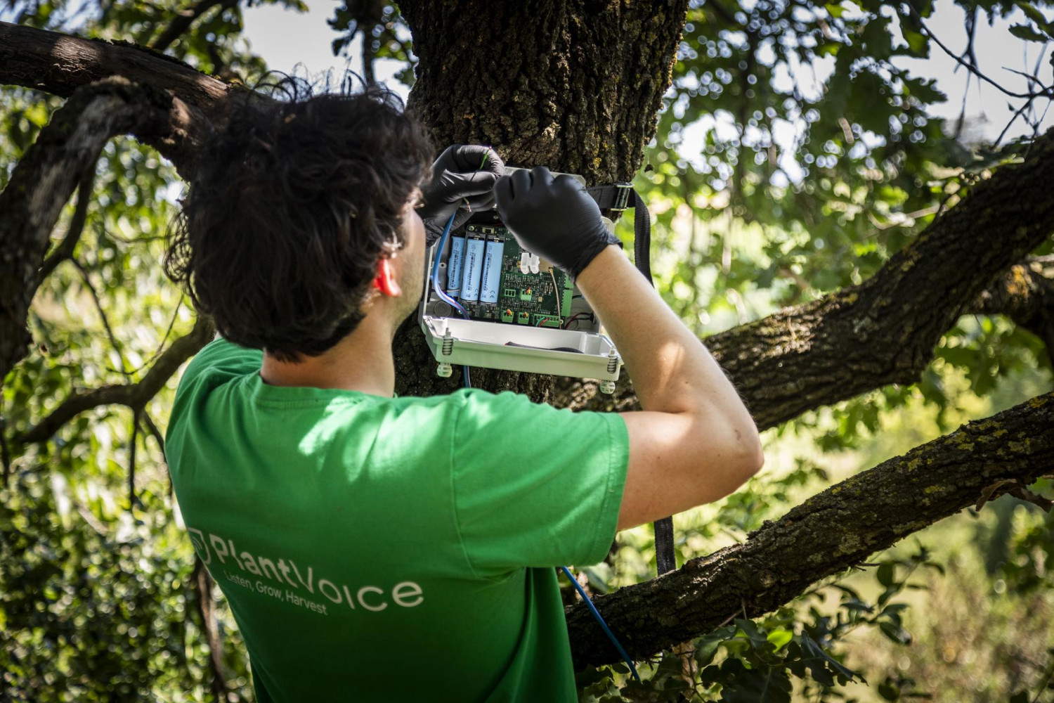 Tommaso Beccatelli durante la instalación