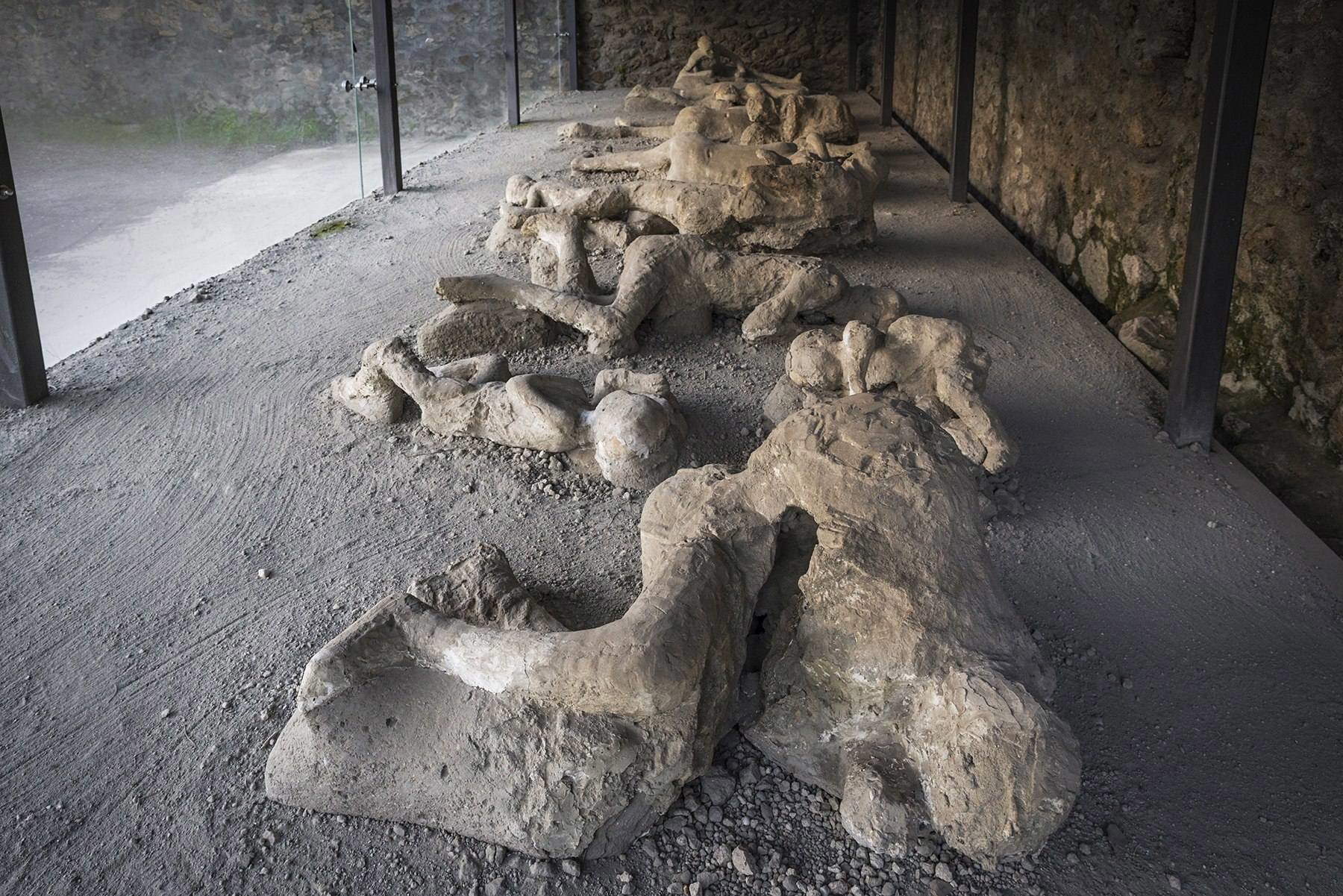 Abgüsse aus dem Orto dei Fuggiaschi. Foto: Ministerium für Kultur - Archäologischer Park von Pompeji.