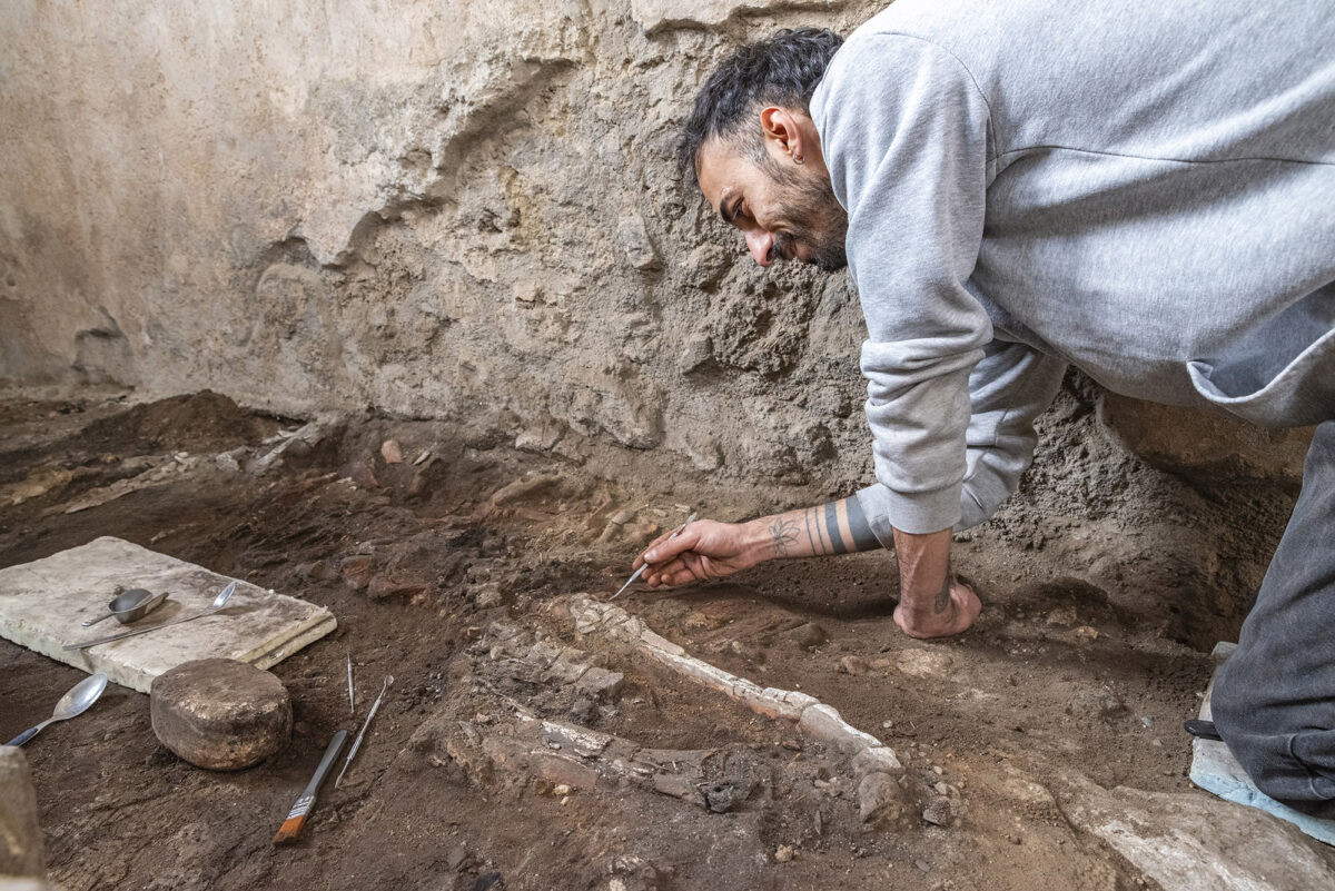 Pompeii, skeleton of an equid emerges in the Casti Amanti complex 