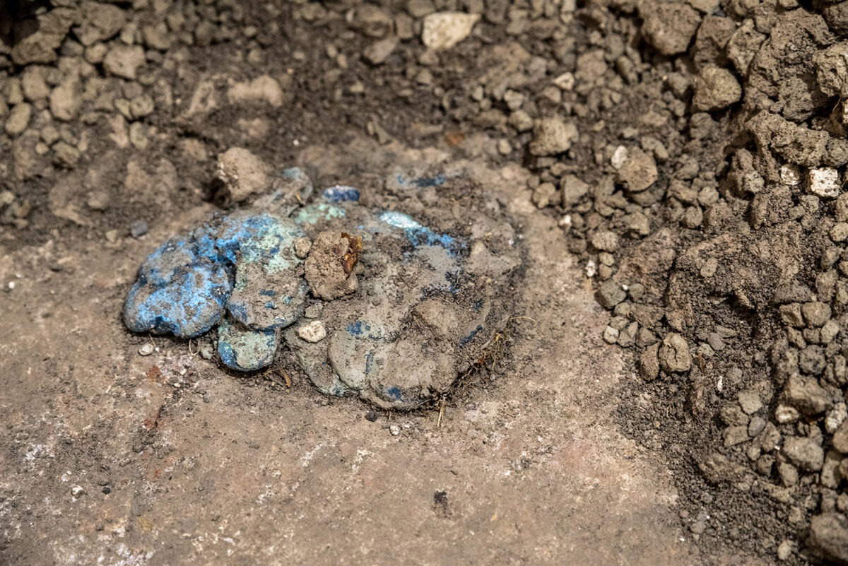 Eine Sammlung von 38 Münzen, alle aus Bronze. Foto: Kulturministerium – Archäologischer Park von Pompeji