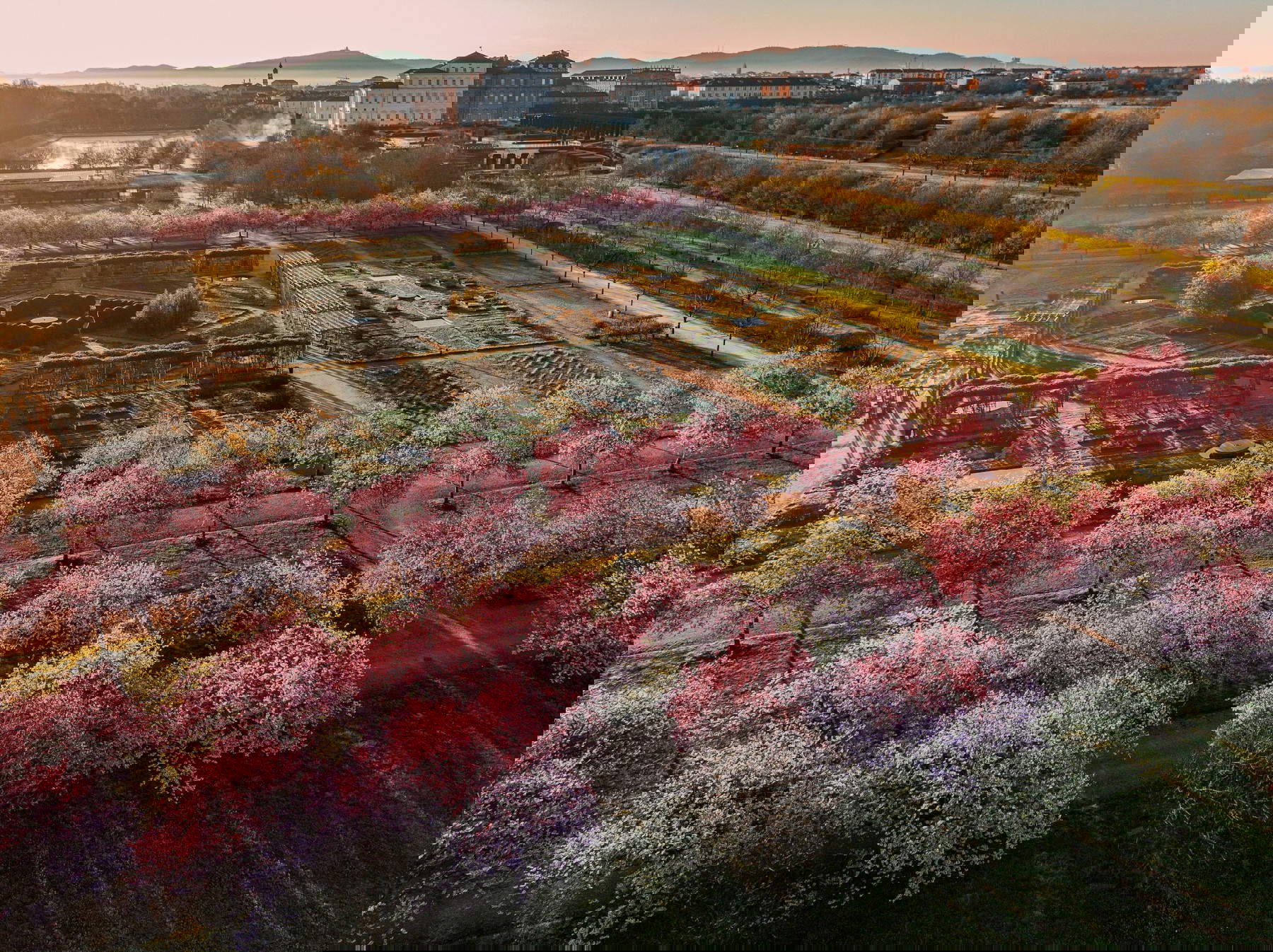 Reggia di Venaria mit blühenden Kirschbäumen. Foto: Michele d'Ottavio