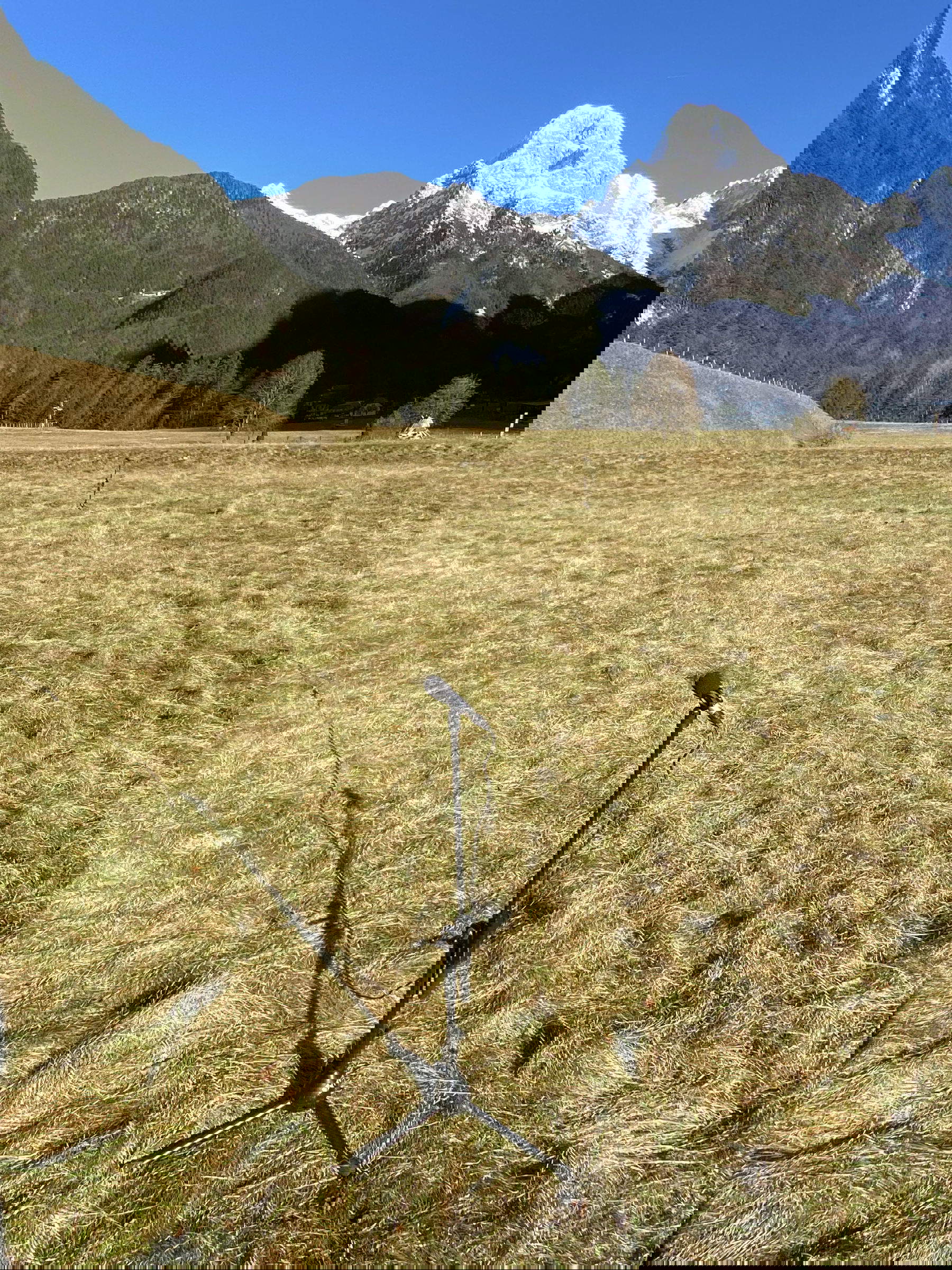 Registrare il silenzio. Foto: Neja Tom&scaron;ič