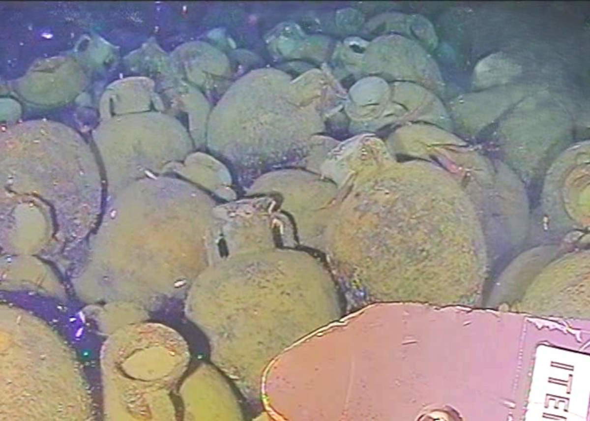 Image prise par le ROV. Photo : &copy;Living Camera - SABAP RC