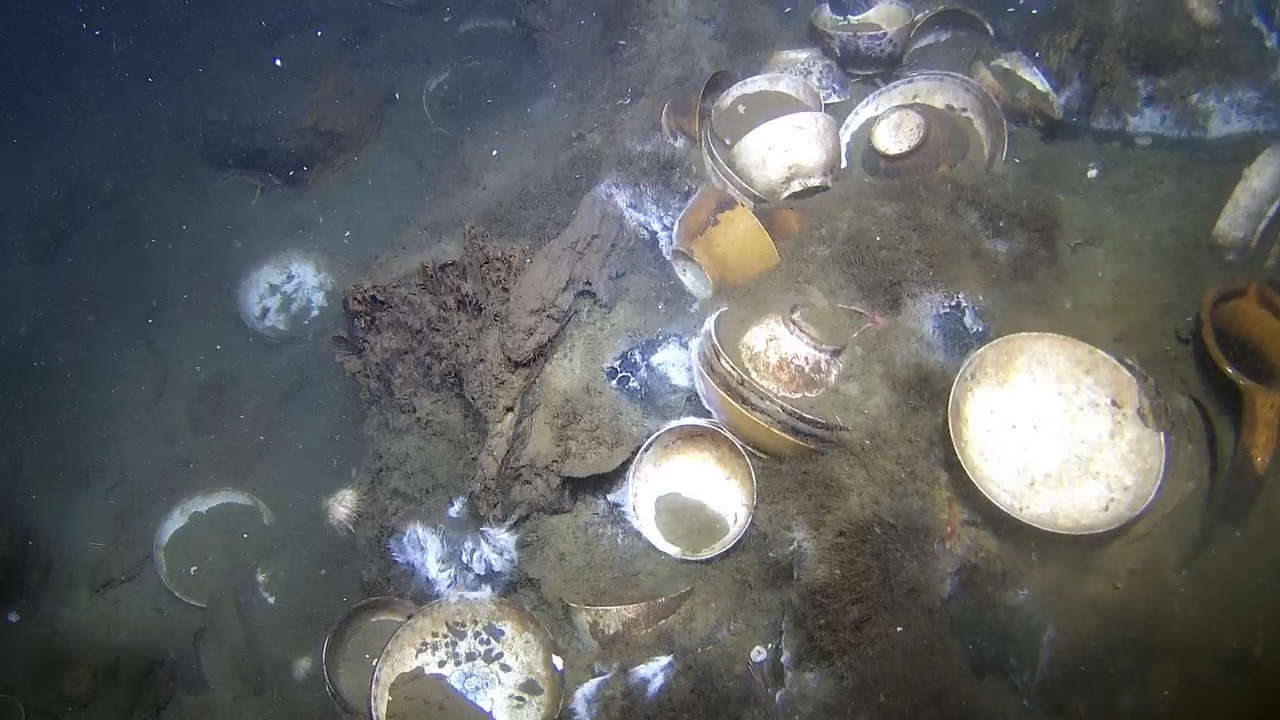 Porcelain Wreck