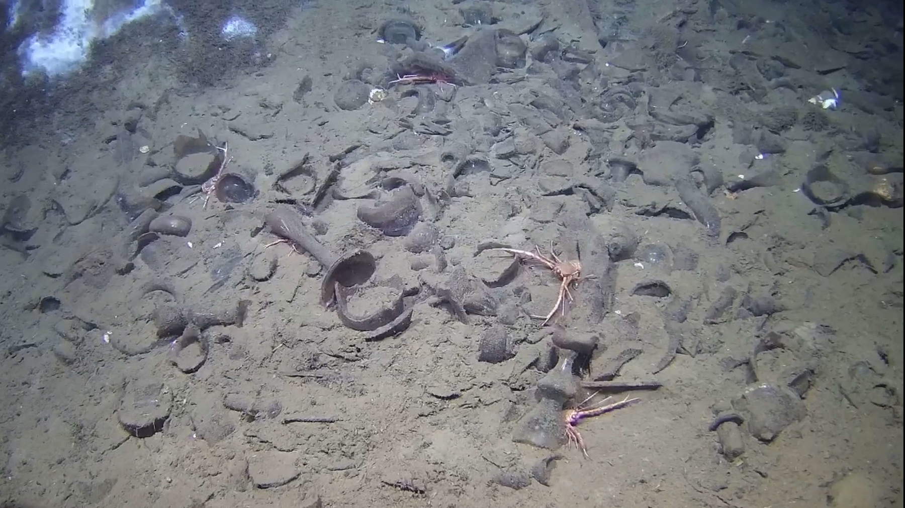 Porcelain Wreck