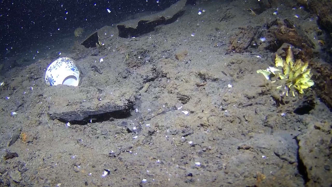 Porcelain Wreck