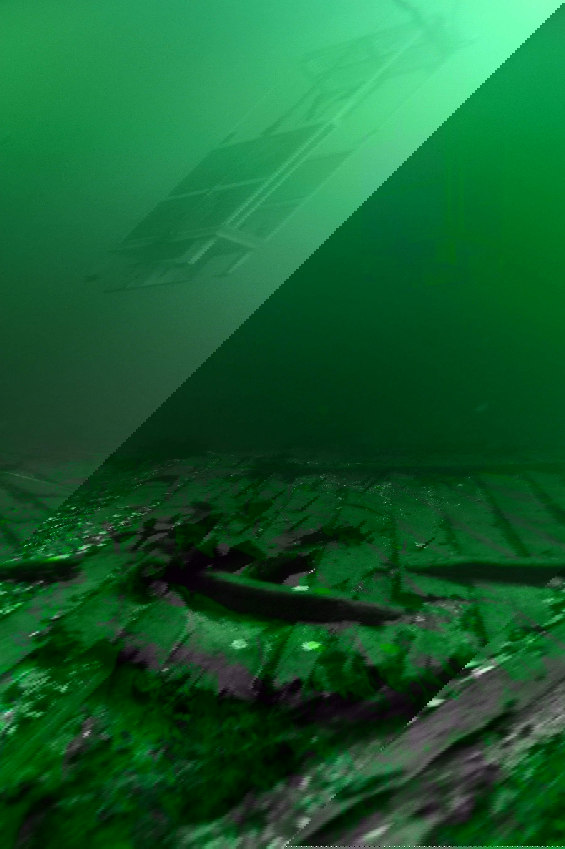 Das Wrack des mittelalterlichen Docks Sv&aelig;lget 2. Foto: Mit freundlicher Genehmigung des Wikingerschiffmuseums in Roskilde