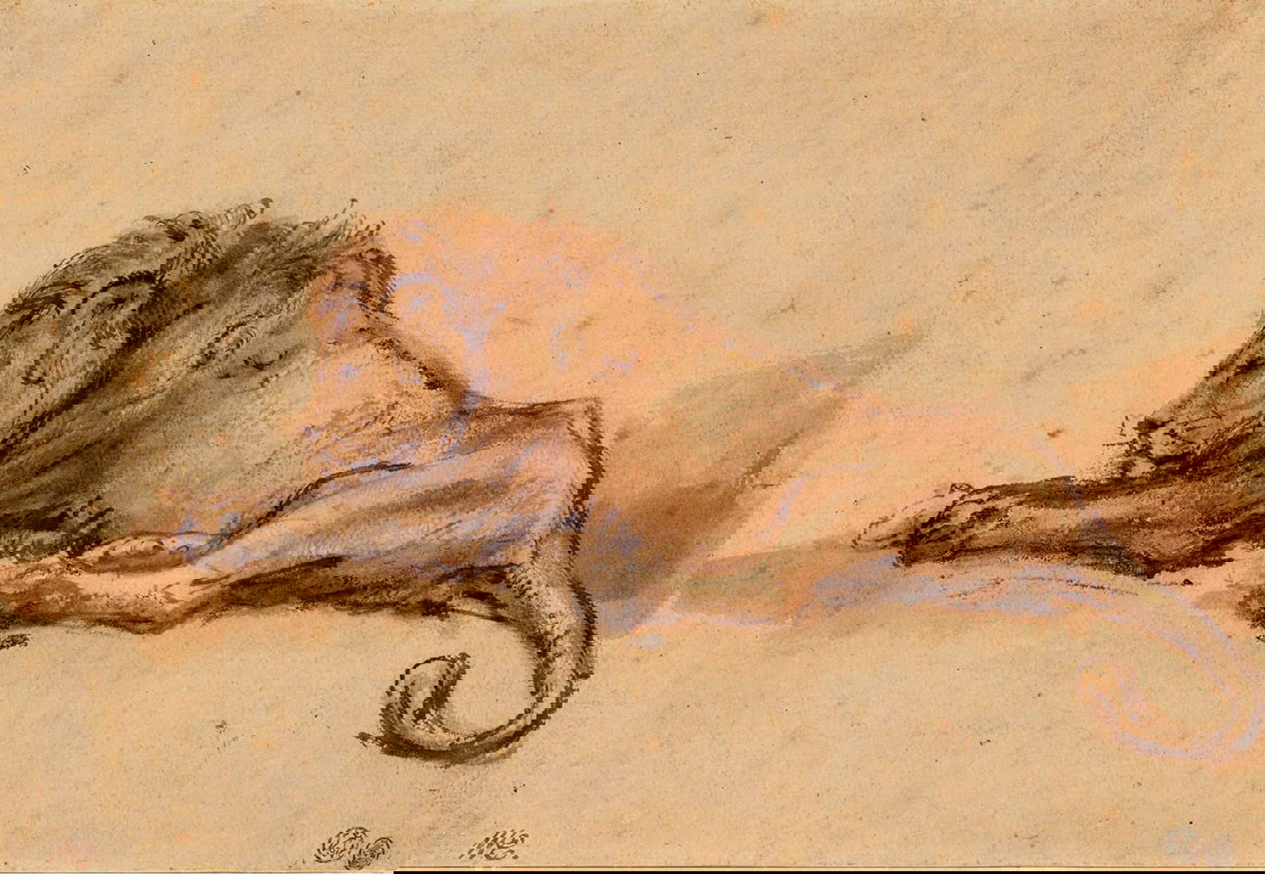 Rembrandt, Liegender Löwe (Ende 1640-1650; Feder und braune Tinte und Aquarell; Rotterdam, Museum Boijmans Van Beuningen)