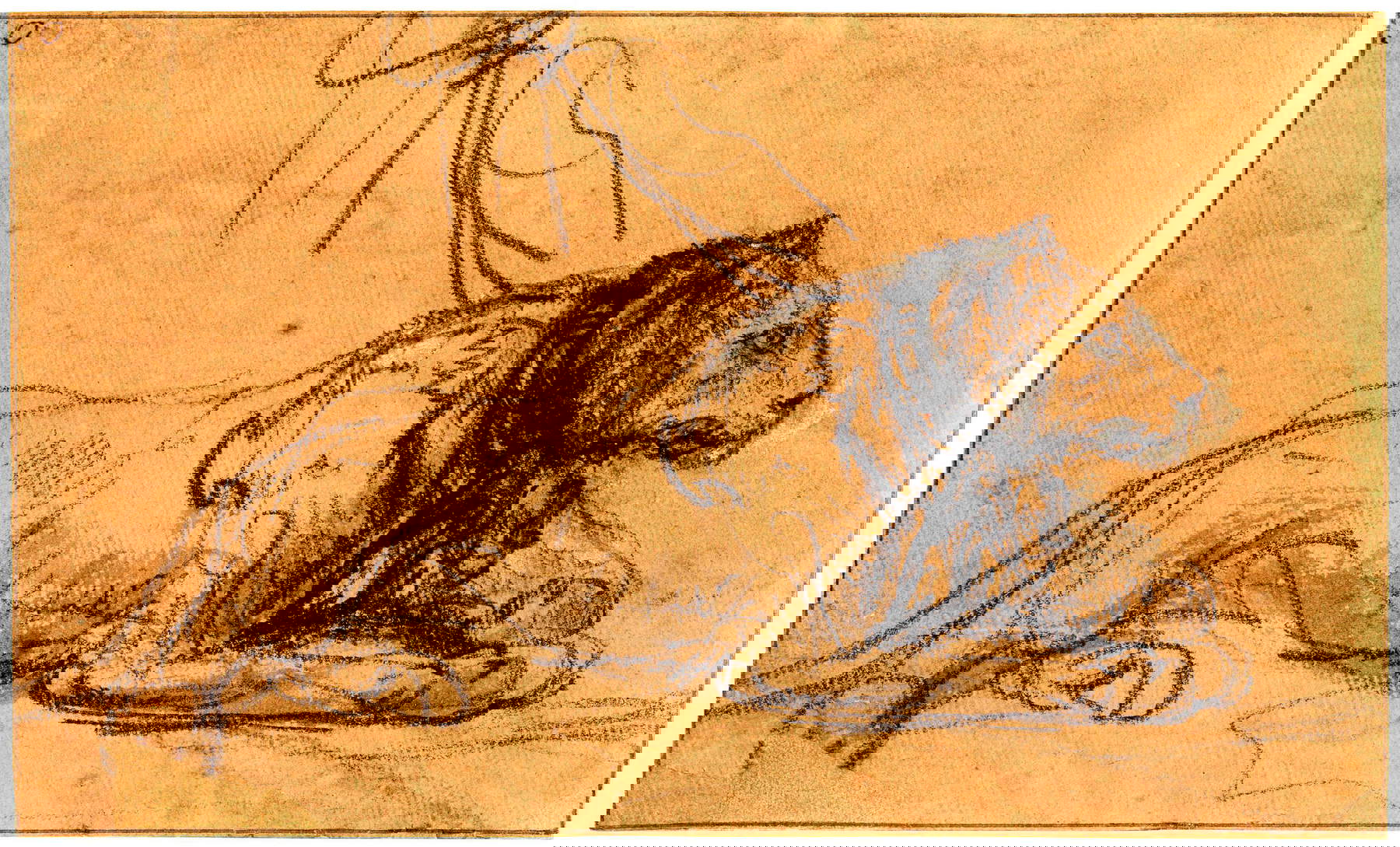 Rembrandt, Eine angekettete Löwin; auf dem Boden liegend im Profil nach rechts (1638-1642; schwarze Kreide oder Kohle und graues Aquarell, mit Weiß aufgehellt; London, British Museum)