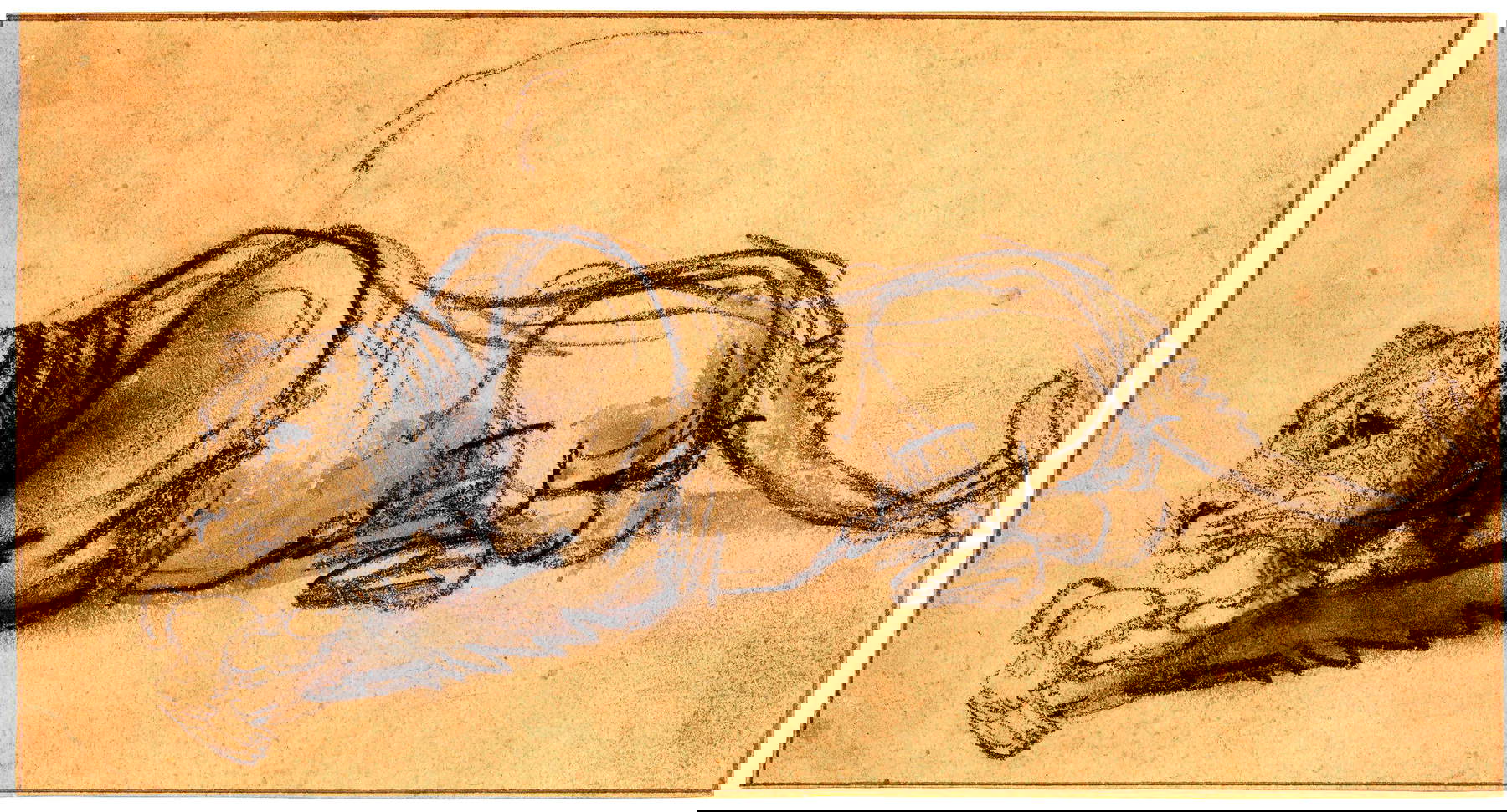 Rembrandt, Eine Löwin, die einen Vogel verschlingt; mit dem Kopf nach links liegend (ca. 1638-1642; schwarze Kreide oder Kohle und graues Aquarell, mit Weiß illuminiert; London, British Museum)