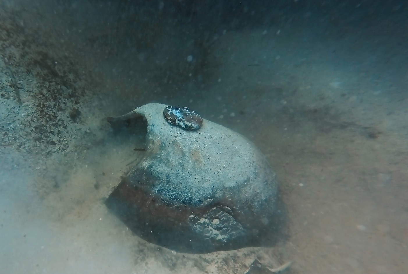 Les objets retrouvés à Lampedusa. Photo : Région de Sicile