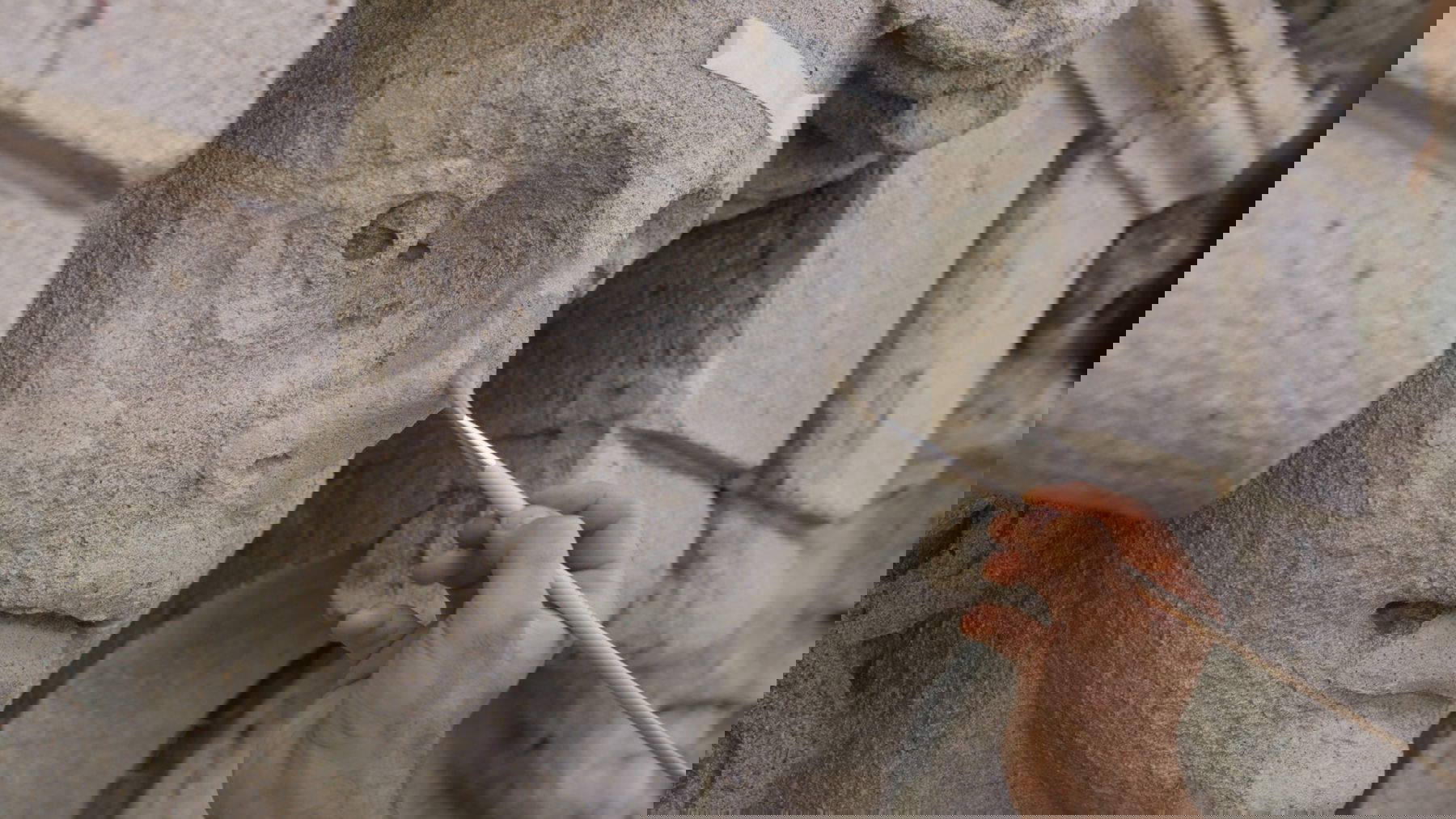 The restoration of Palazzo Marino funded by Tod's Group. Photo: City of Milan