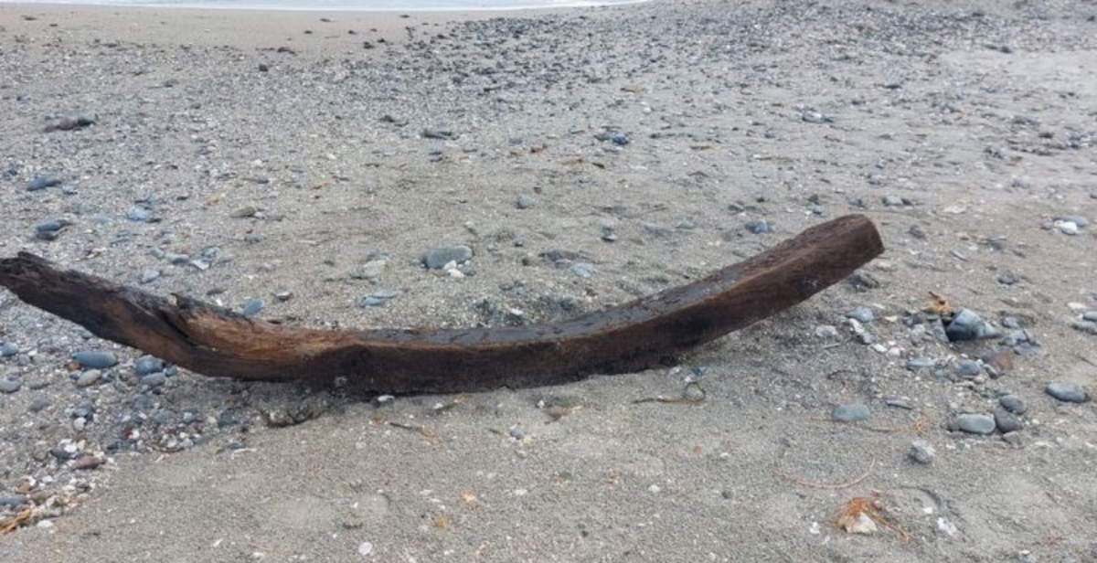 Tidal flats at Poetto in Cagliari unearth modern vessel, possible wreck of 1793 French expedition