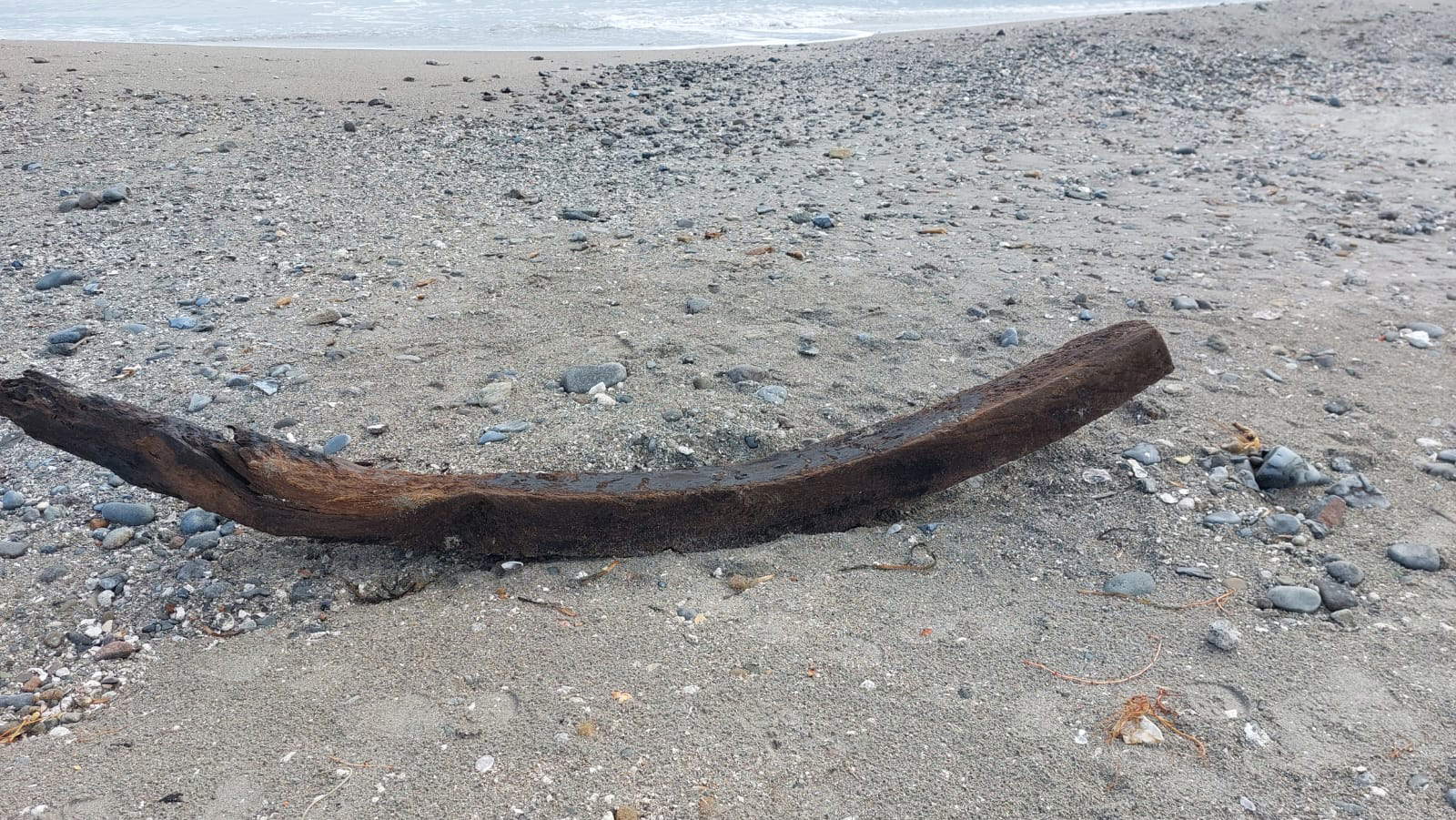 The remains of the wreck found on Poetto beach in Cagliari. Photo: Superintendence of Archaeology, Fine Arts and Landscape of Cagliari.