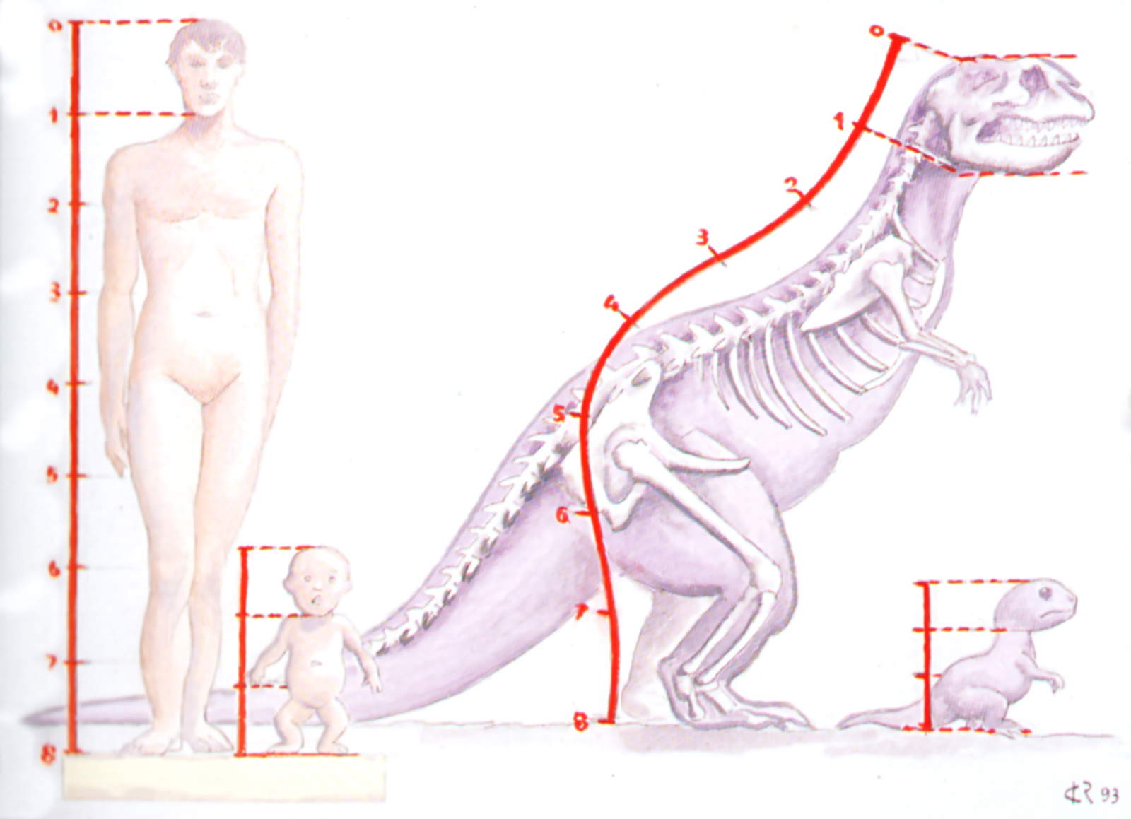 Rex : Ky&ocirc;ry&ucirc; monogatari (Fondation Carlo Rambaldi)