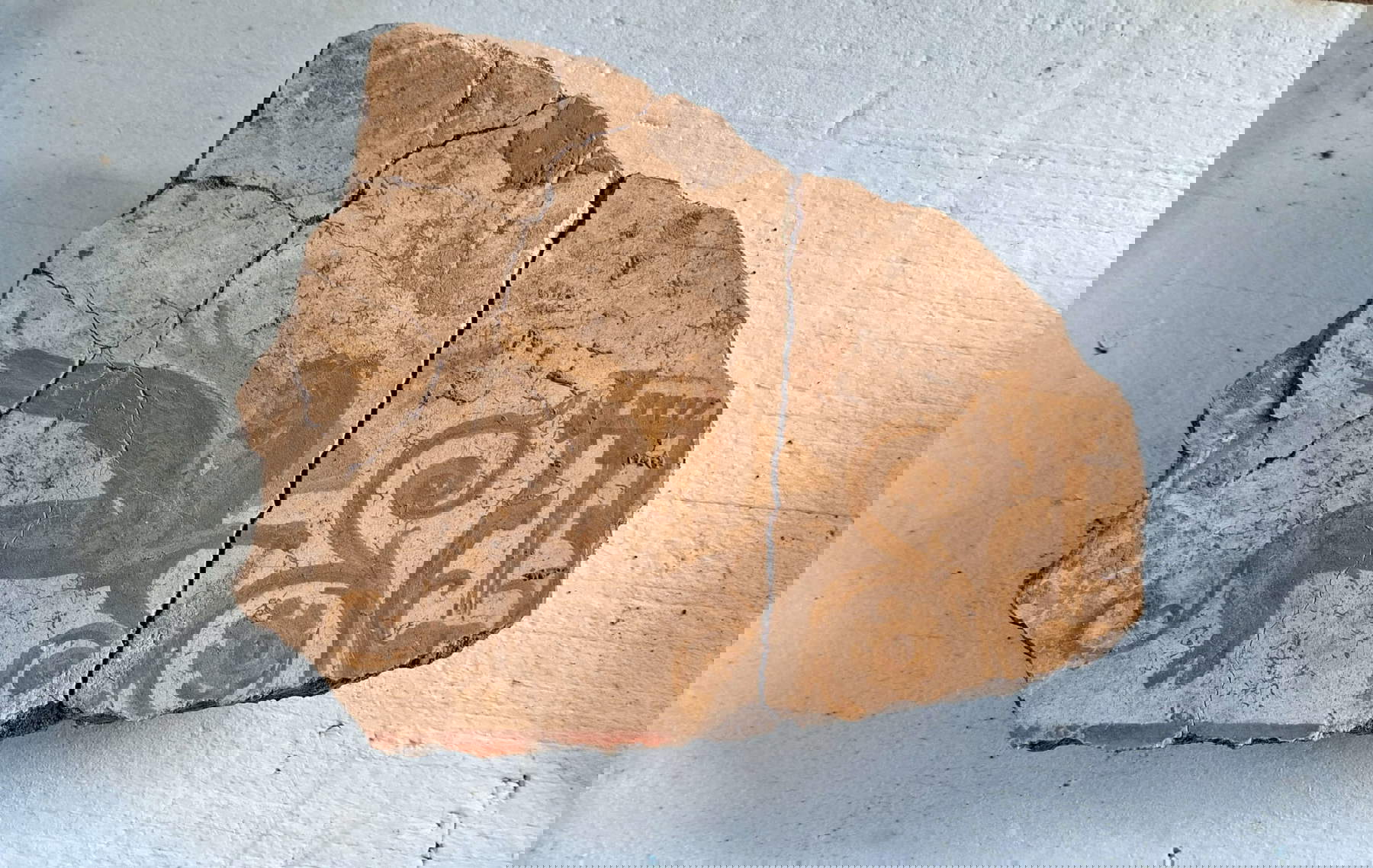 Findings at Villa Sora. Photo: Ministry of Culture