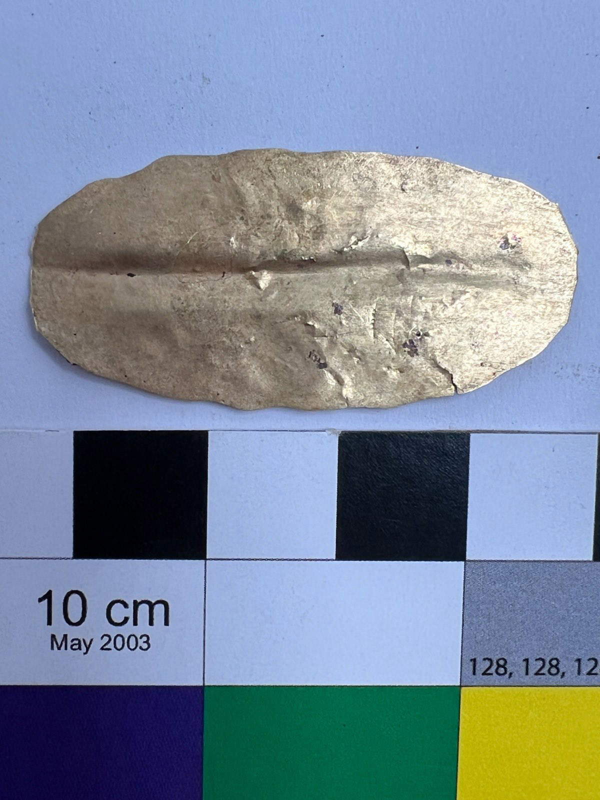 Una lingua di rame. Foto: Ministero del Turismo e delle Antichit&agrave;