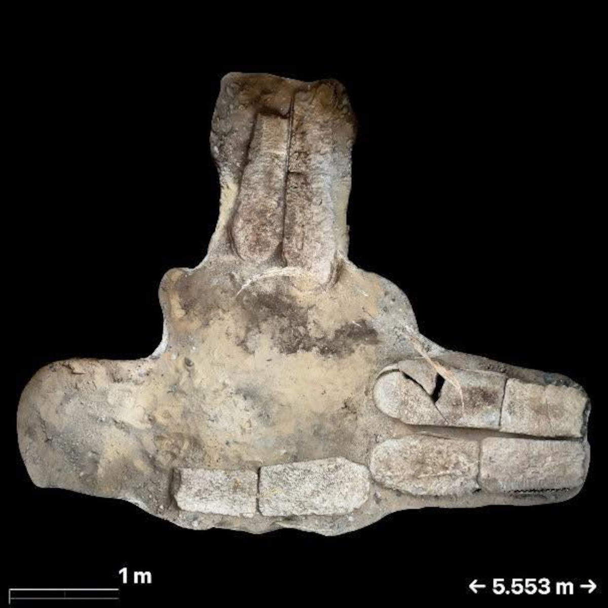 Diversi sarcofagi disposti nel sito di&nbsp;Bahnasa. Foto: Ministero del Turismo e delle Antichit&agrave;