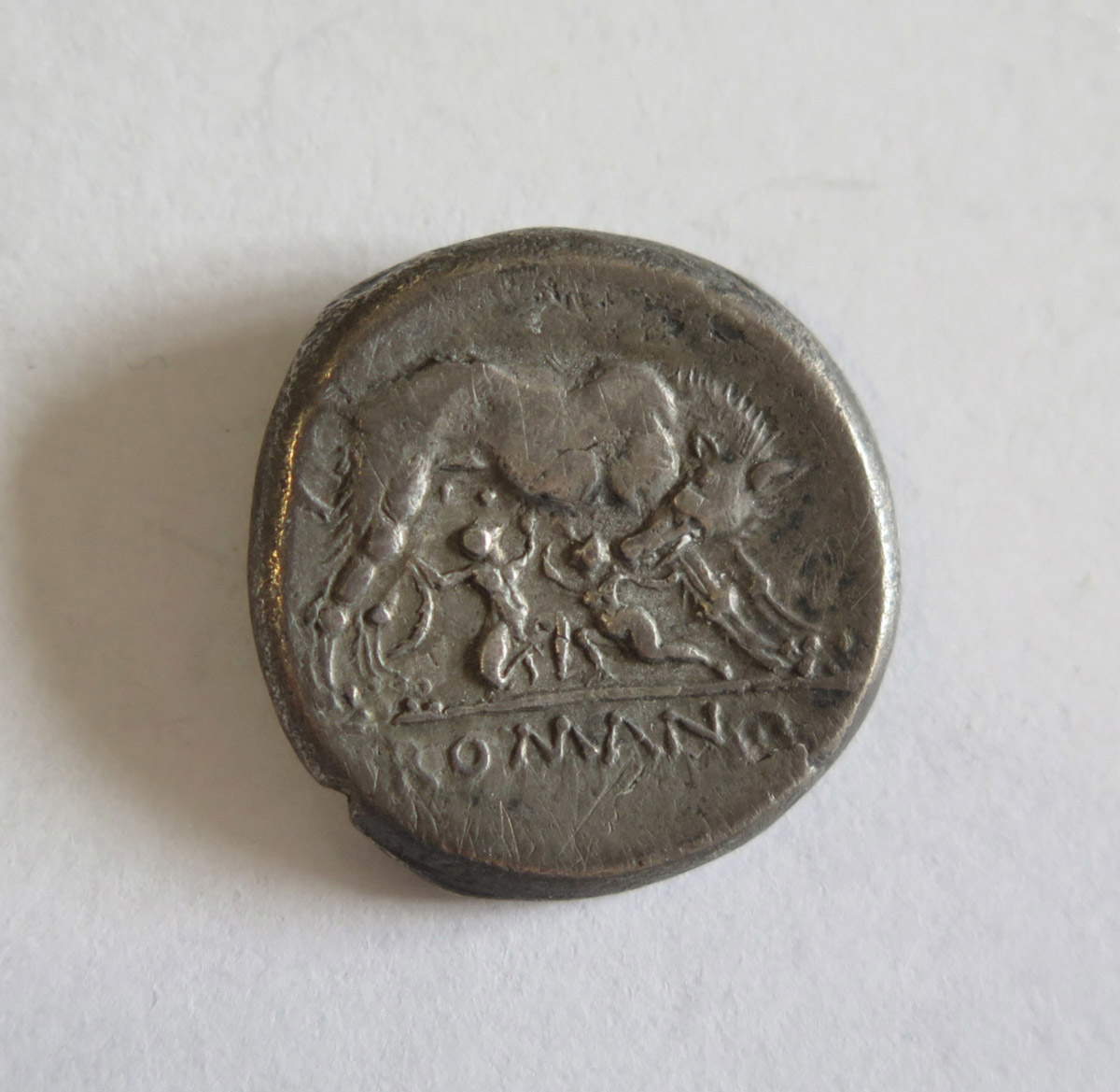 Moneta (didramma) della serie romano-campana: Ercole e lupa che allatta i gemelli (moneta in argento; Napoli, Museo Archeologico Nazionale di Napoli)