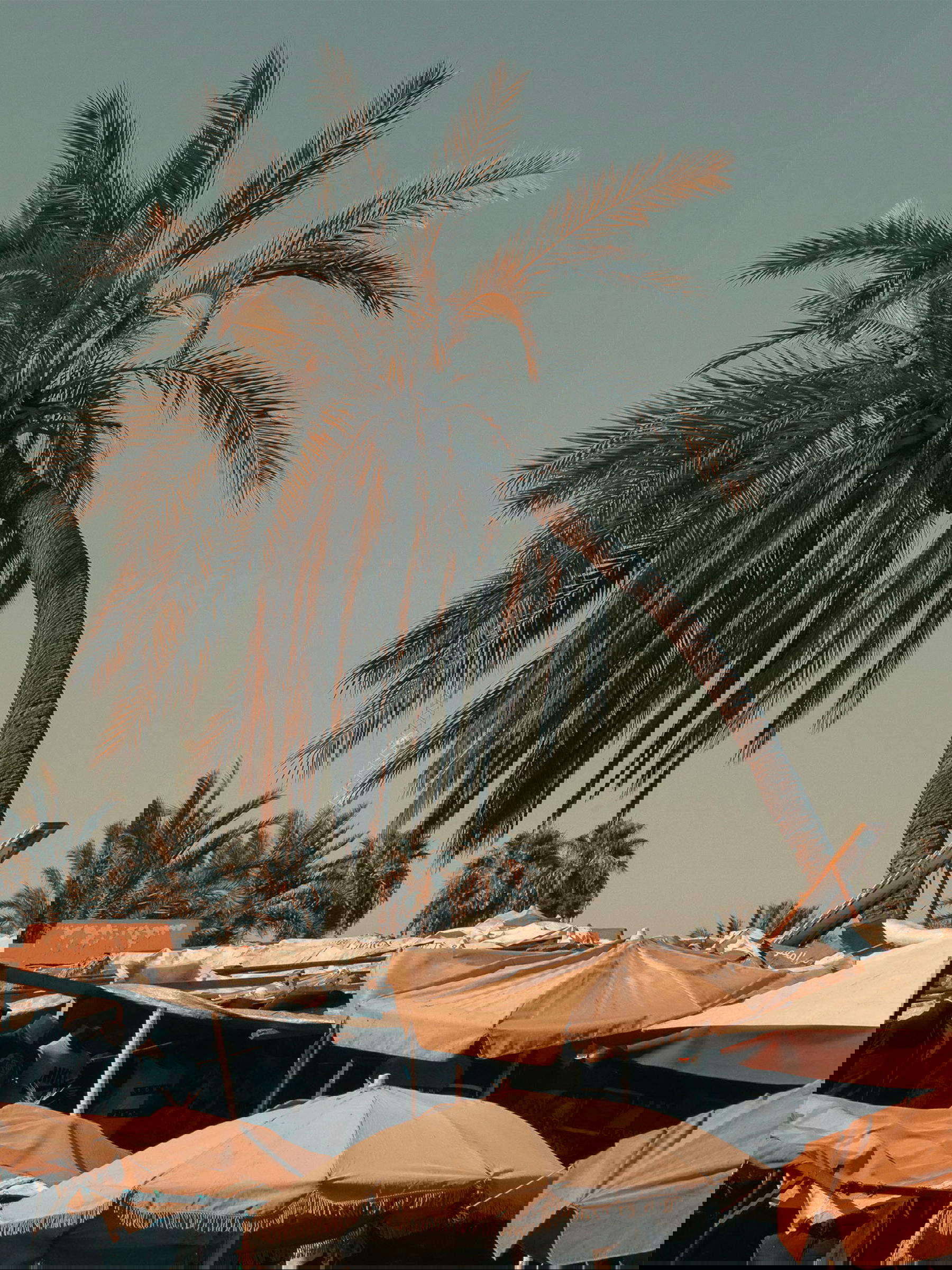 Roman Laprade, March&eacute; (Marrakech) (2018; photo) Courtesy of the artist and Ugo Ferranti Gallery Archive, Rome.