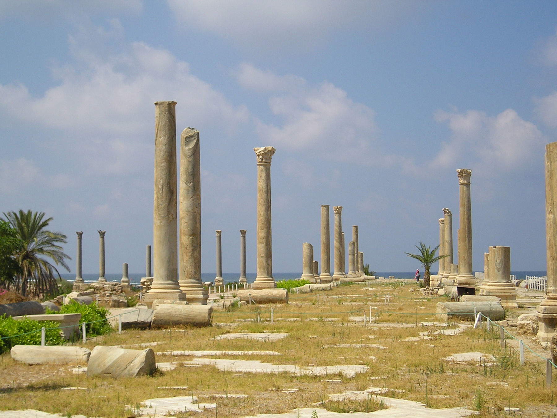 The ruins of Tyre. Photo: Wikimedia Commons / Heretiq - Creative Commons Attribution-Share Alike 2.5 Generic license.