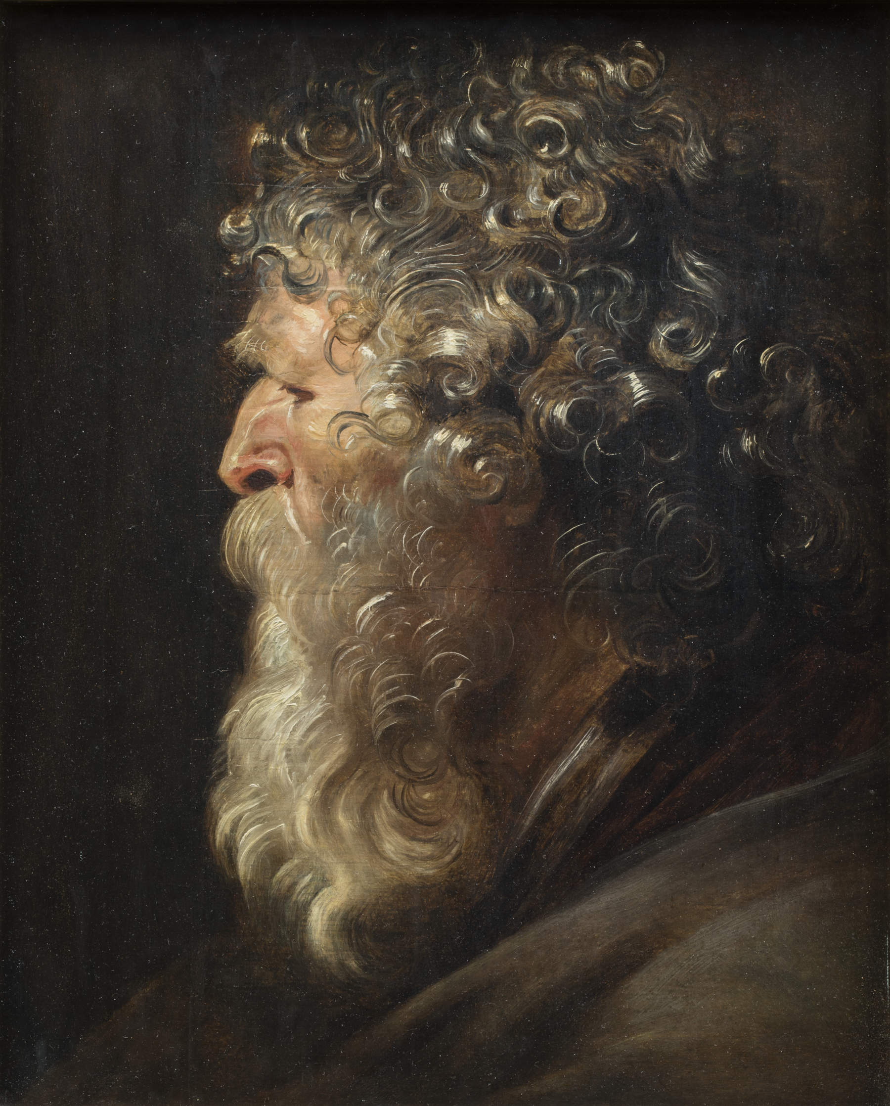 Pieter Paul Rubens, Tête de vieillard (vers 1619 - 1620 ; huile sur bois ; Rome, MiC - Galeries nationales d'art antique - Bibliotheca Hertziana, Institut Max Planck d'histoire de l'art / Enrico Fontolan)