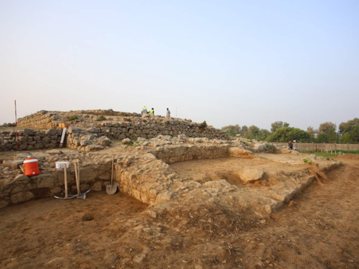 The excavation. Photo: Ca' Foscari University of Venice