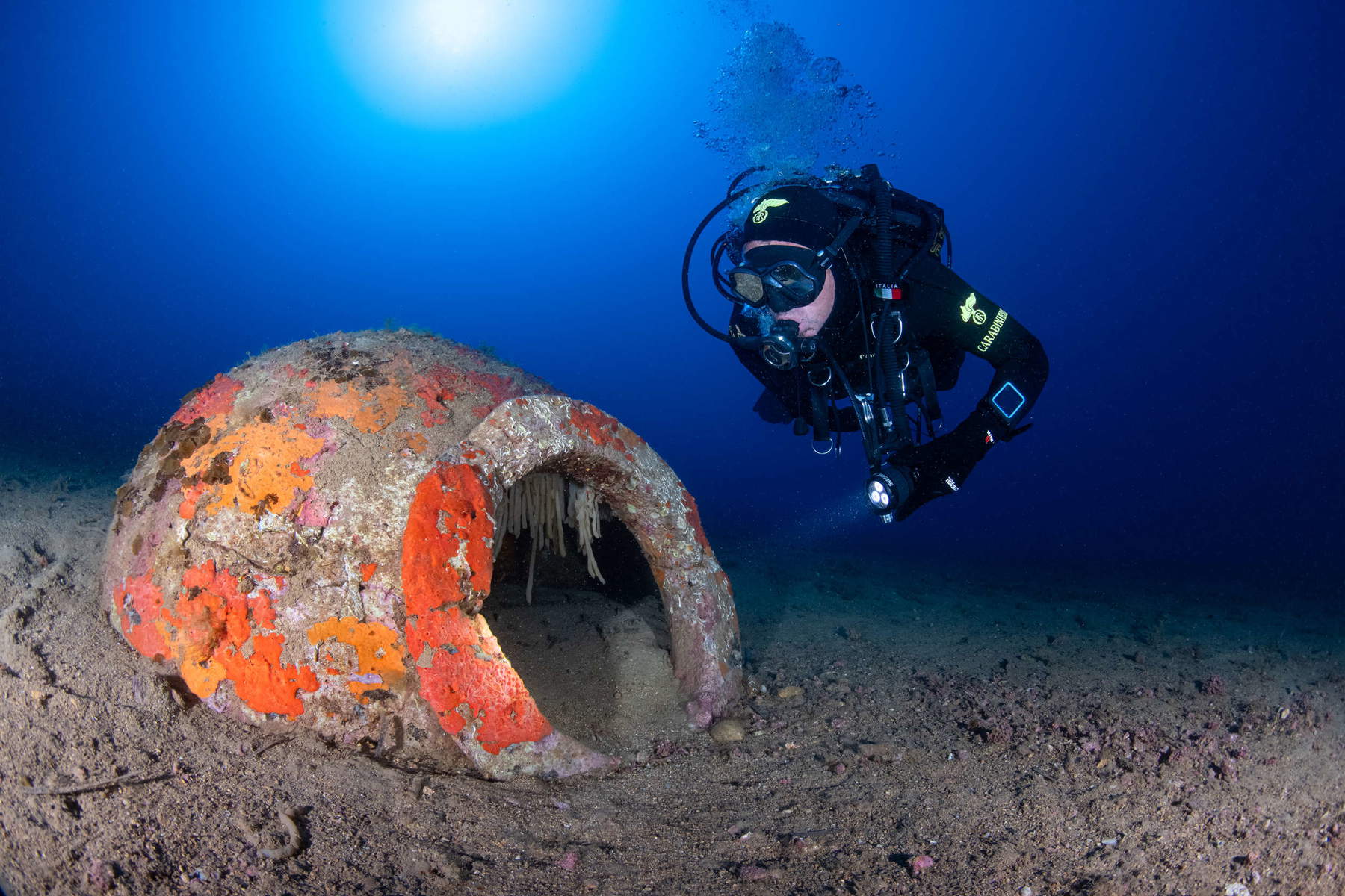 Les découvertes faites dans les fonds marins de l'île d'Elbe. Photo : Soprintendenza ABAP de Pise et Livourne